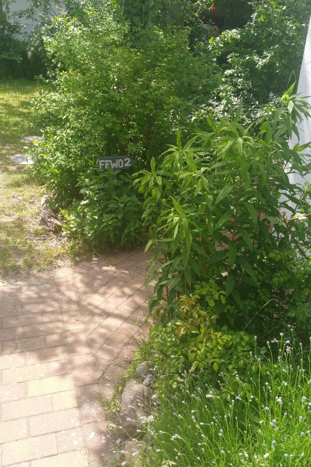 Butje-Image-tags.info