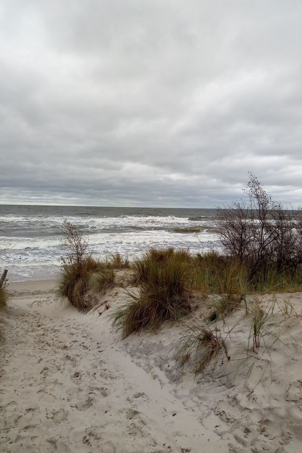 Butje-Image-tags.info