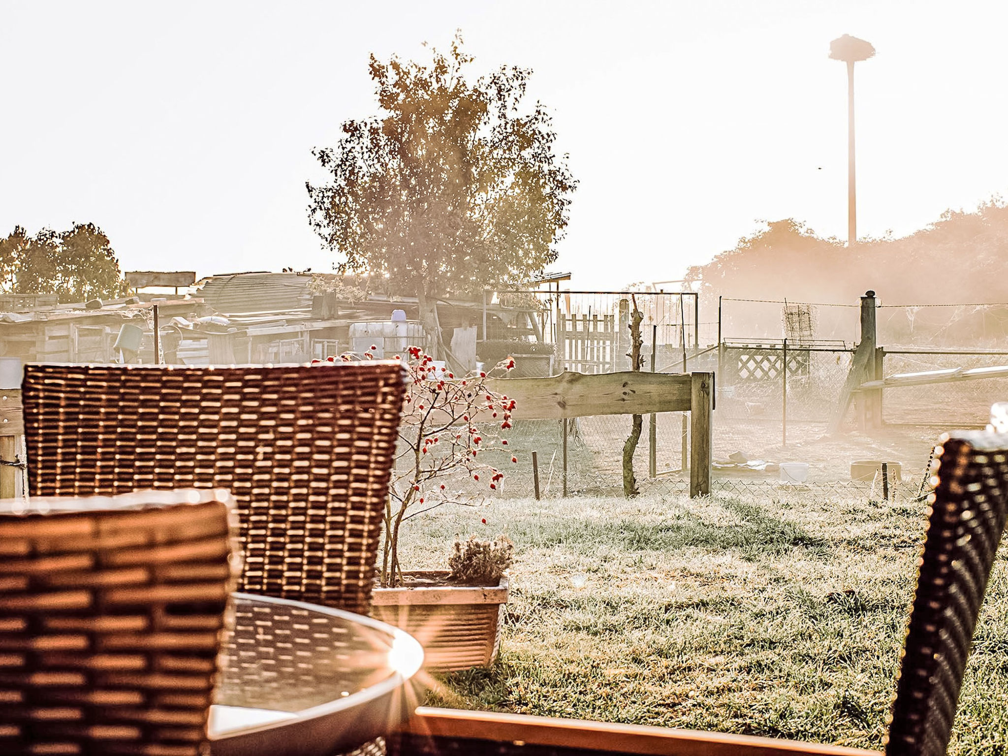Appartement in Zinnowitz mit Grill - Buiten