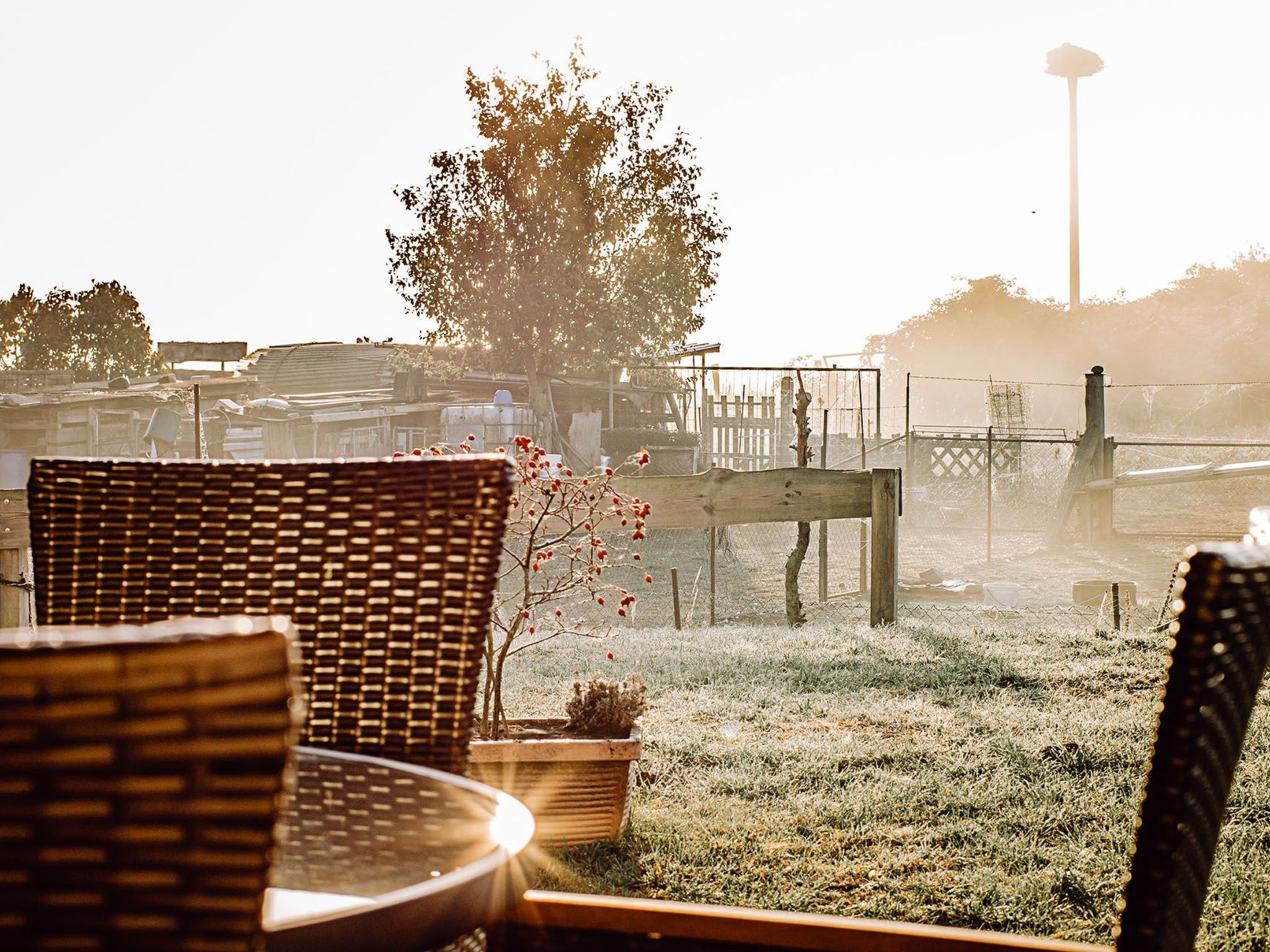 Appartement in Zinnowitz mit Grill — Terrace (2 of 25)