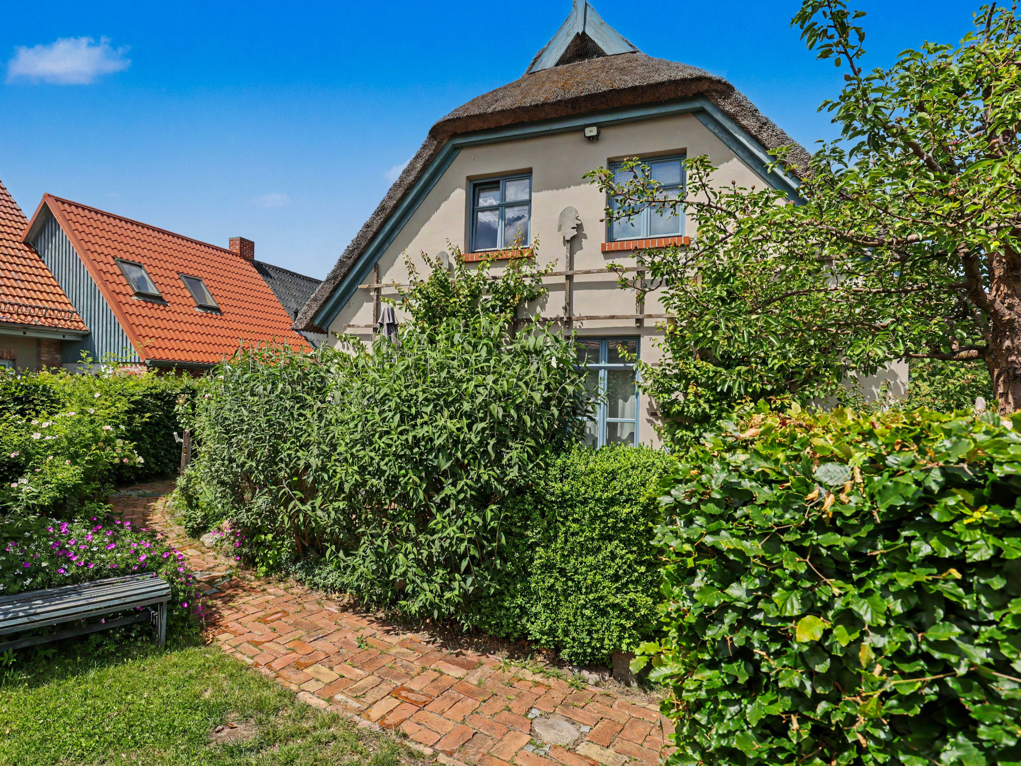 Reetgedecktes Ferienhaus Seelchen - Buiten