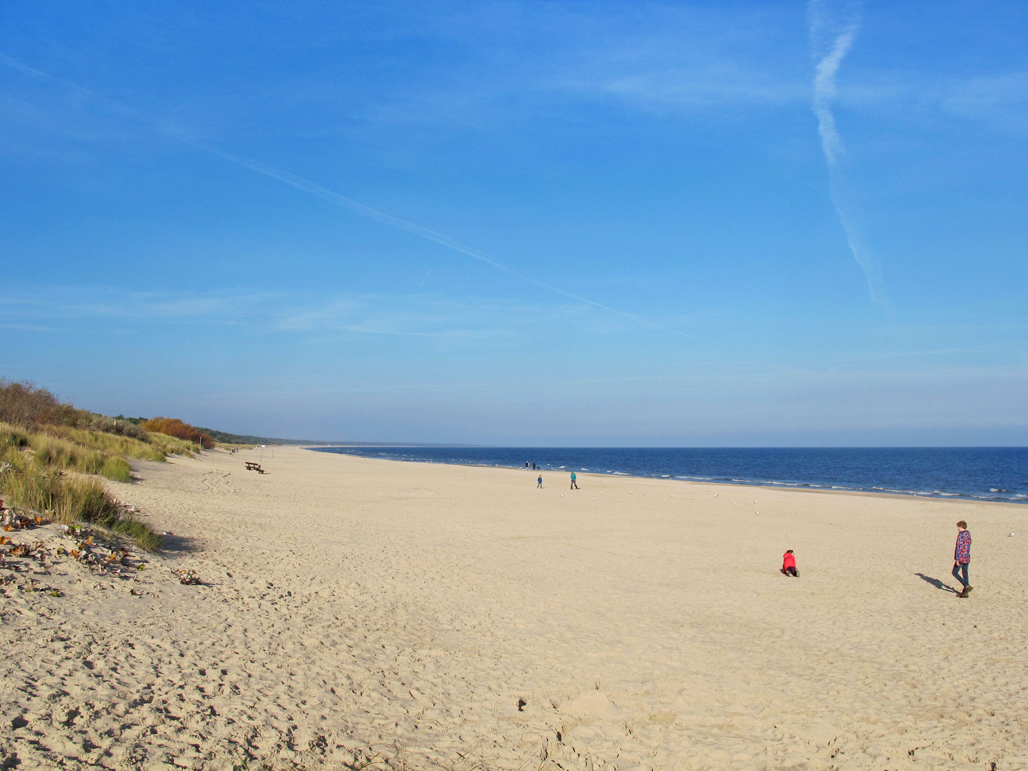 InselkojeZwo-Omgeving