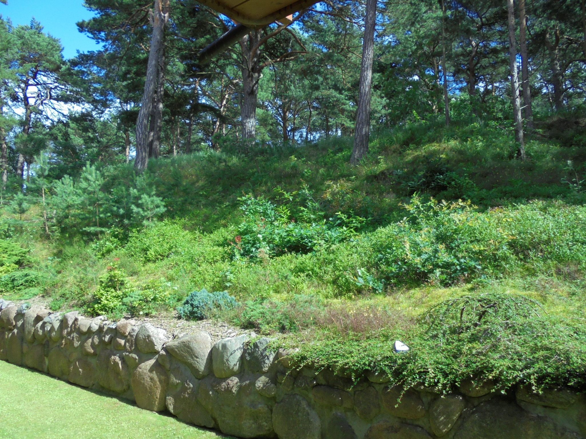 Fast direkt am Strand-Binnen