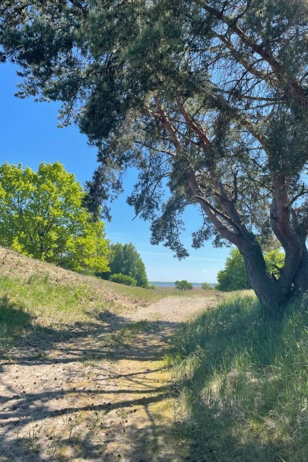 Tolles Ferienhaus in Altwarp mit Garten-Binnen