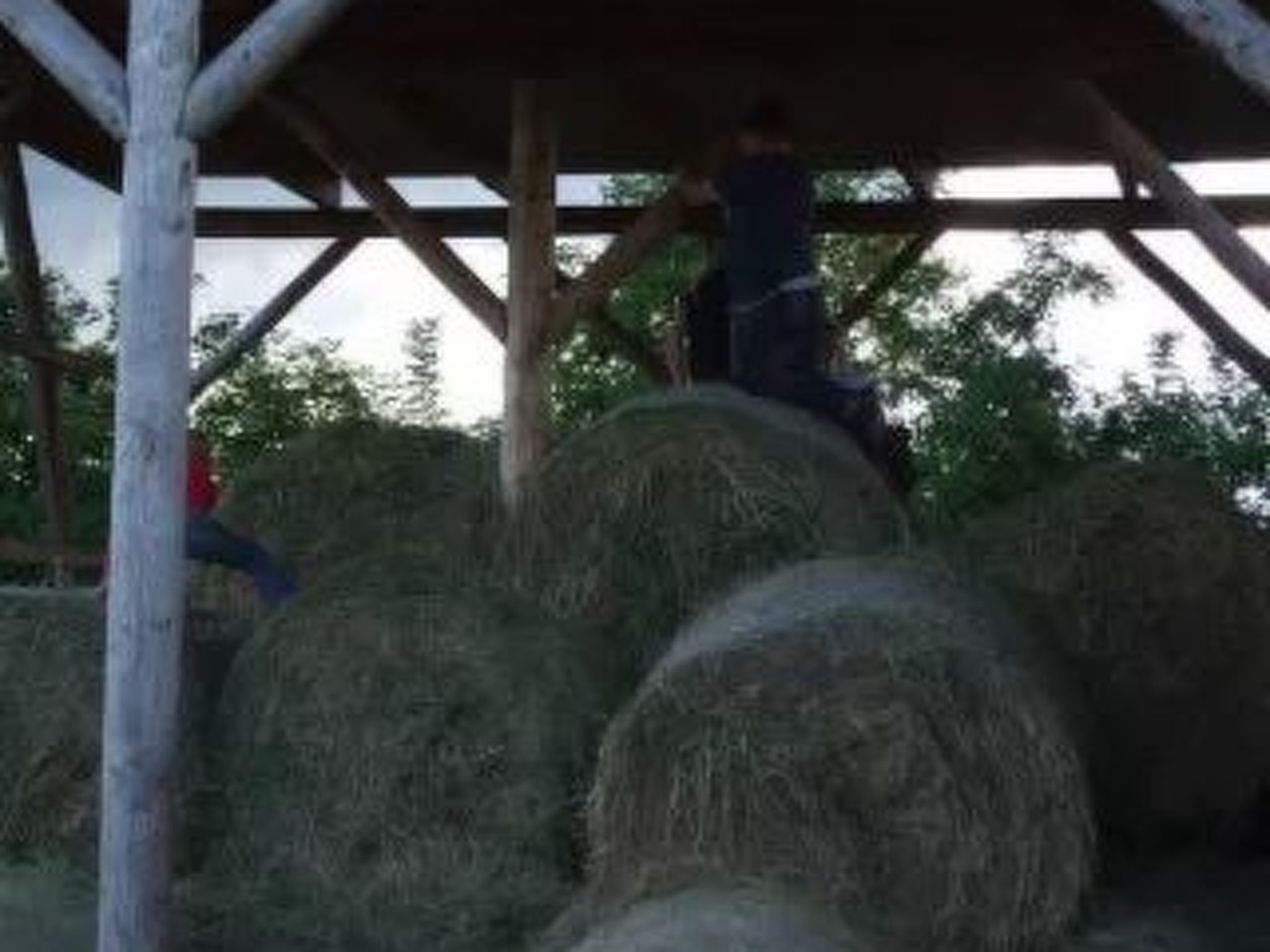 Holunderhof-Image-tags.info