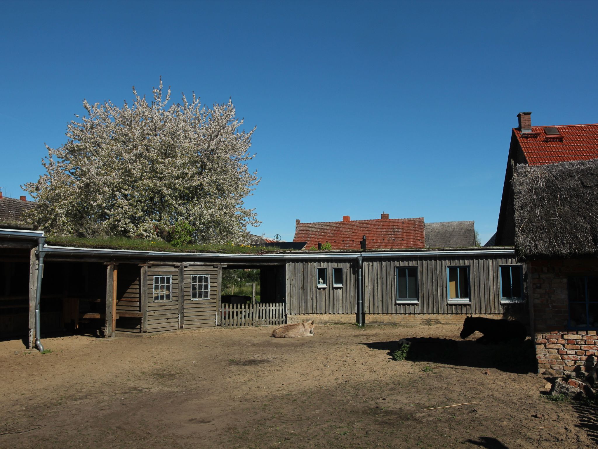 Holunderhof-Image-tags.info