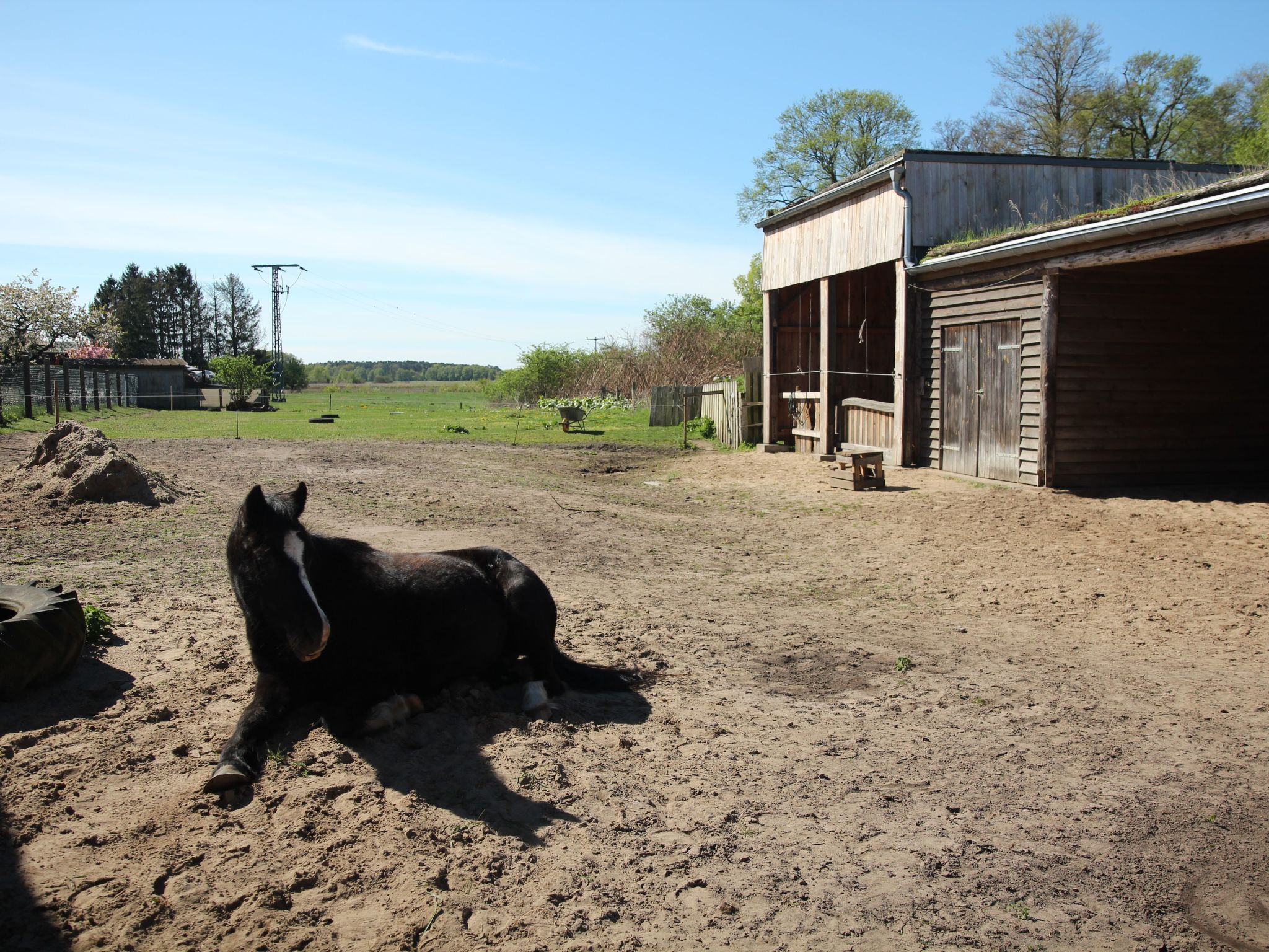 Holunderhof-Image-tags.info