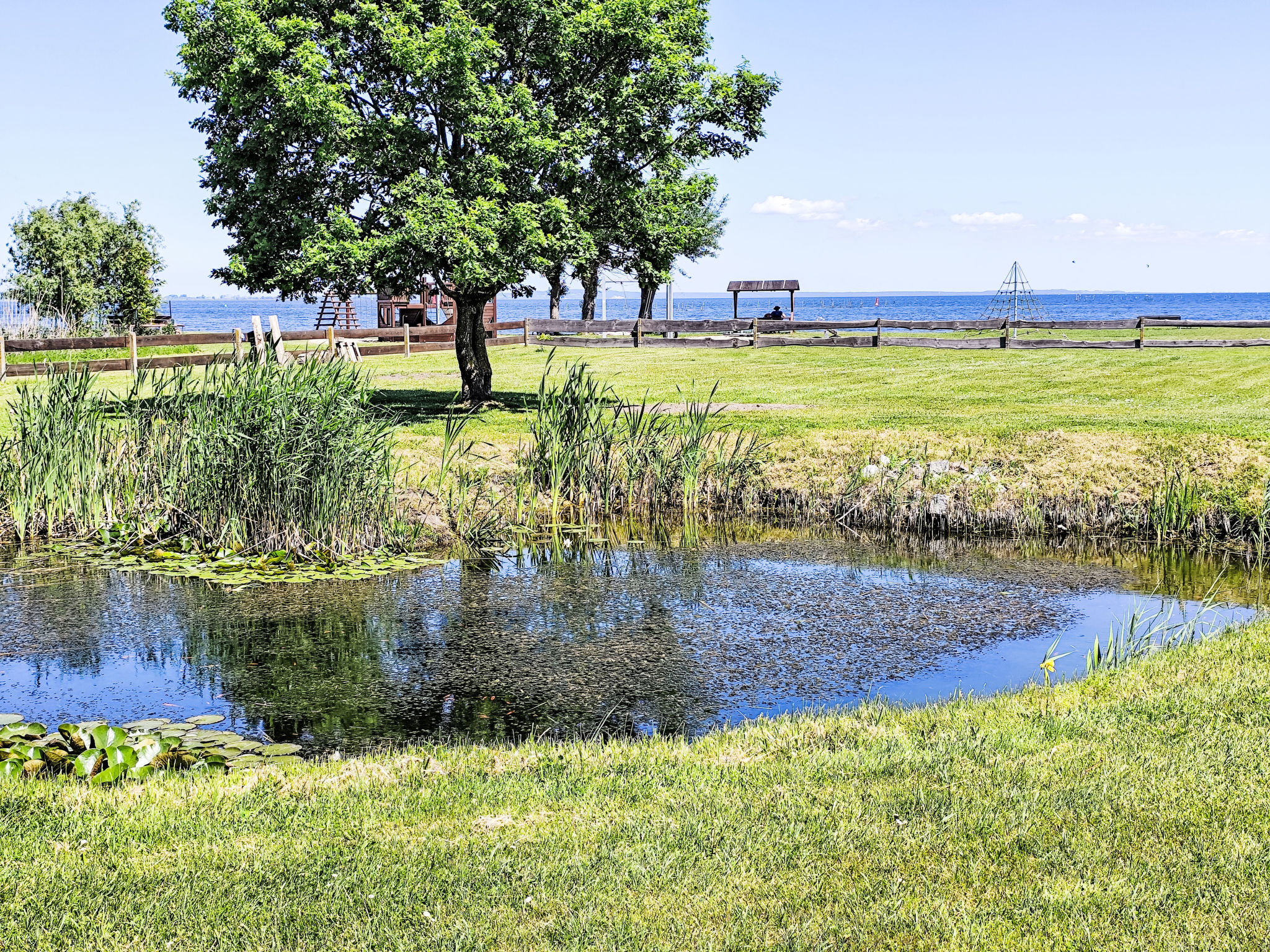 In Altwarp mit Botanischem Garten