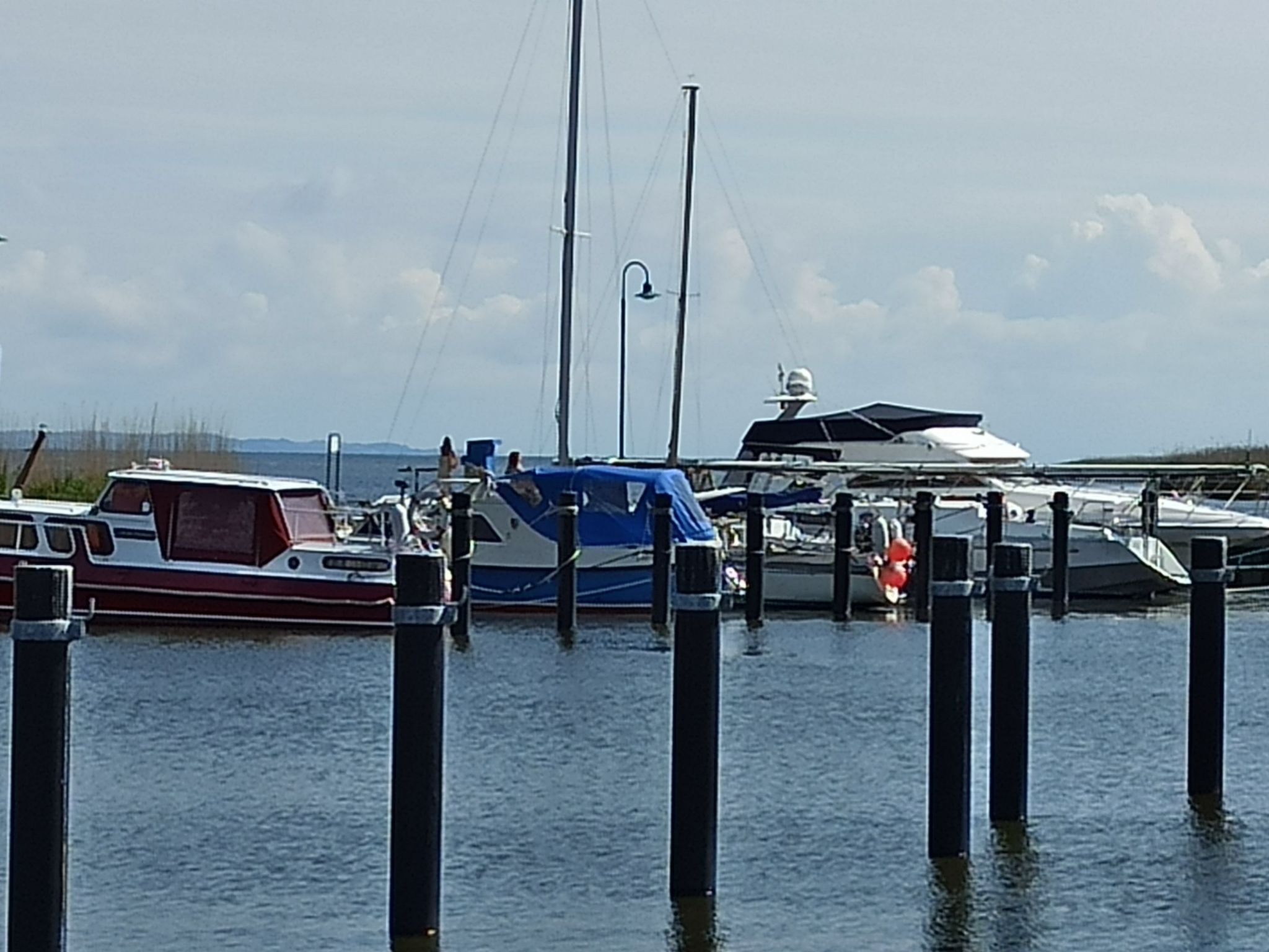 In Altwarp mit Botanischem Garten-Drinnen