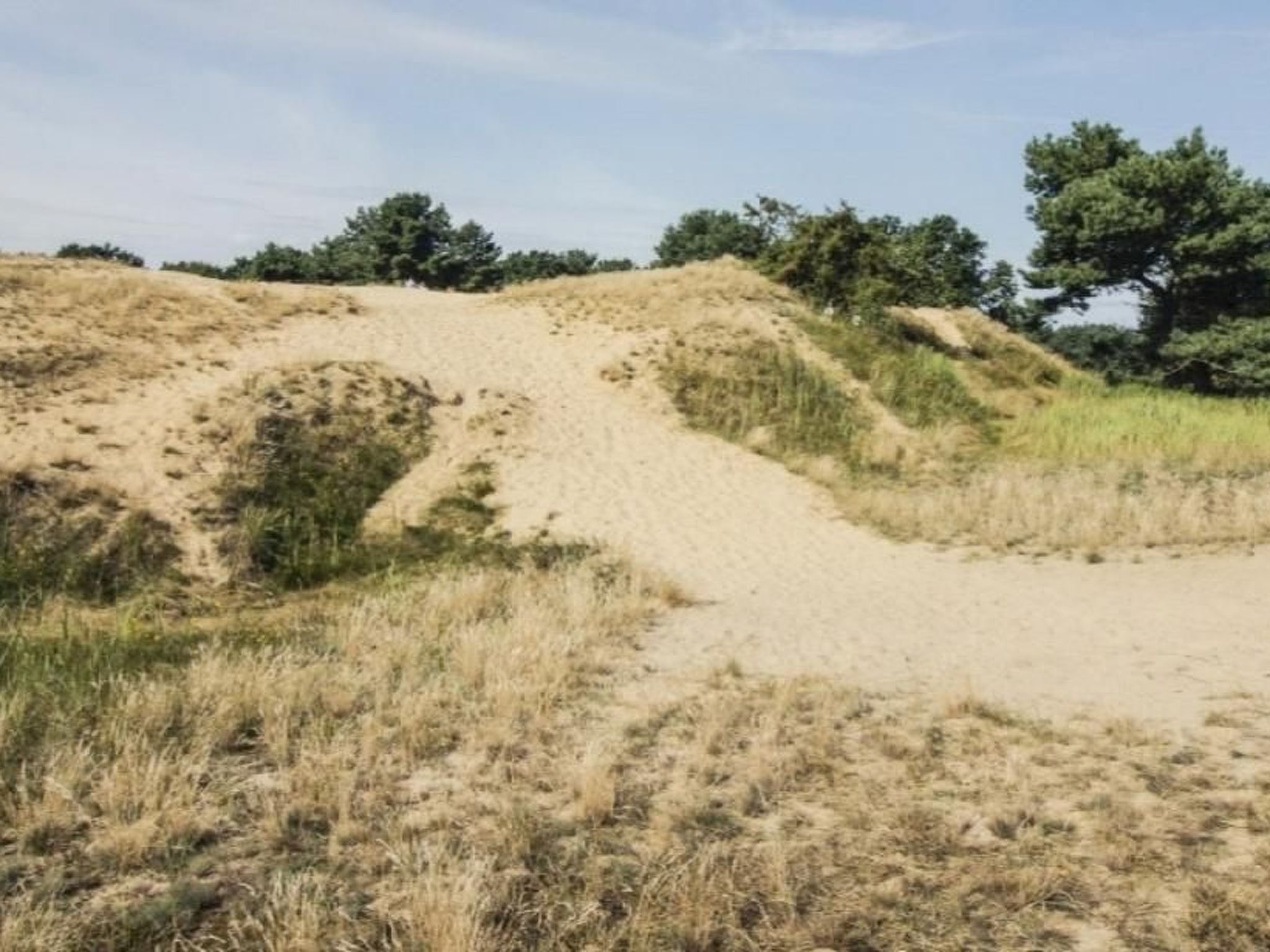 In Altwarp mit Botanischem Garten-Drinnen