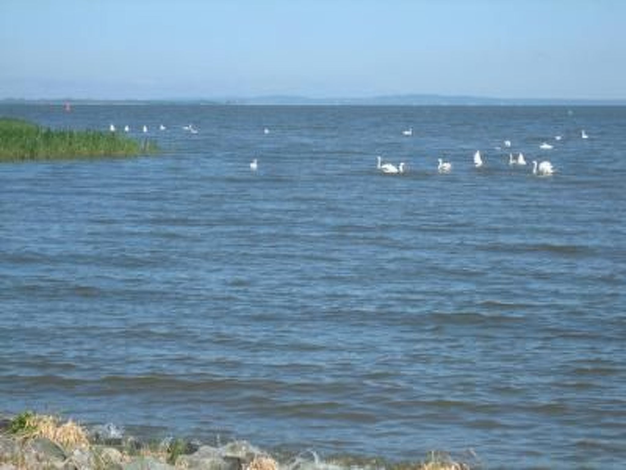 Haus sina-Image-tags.info