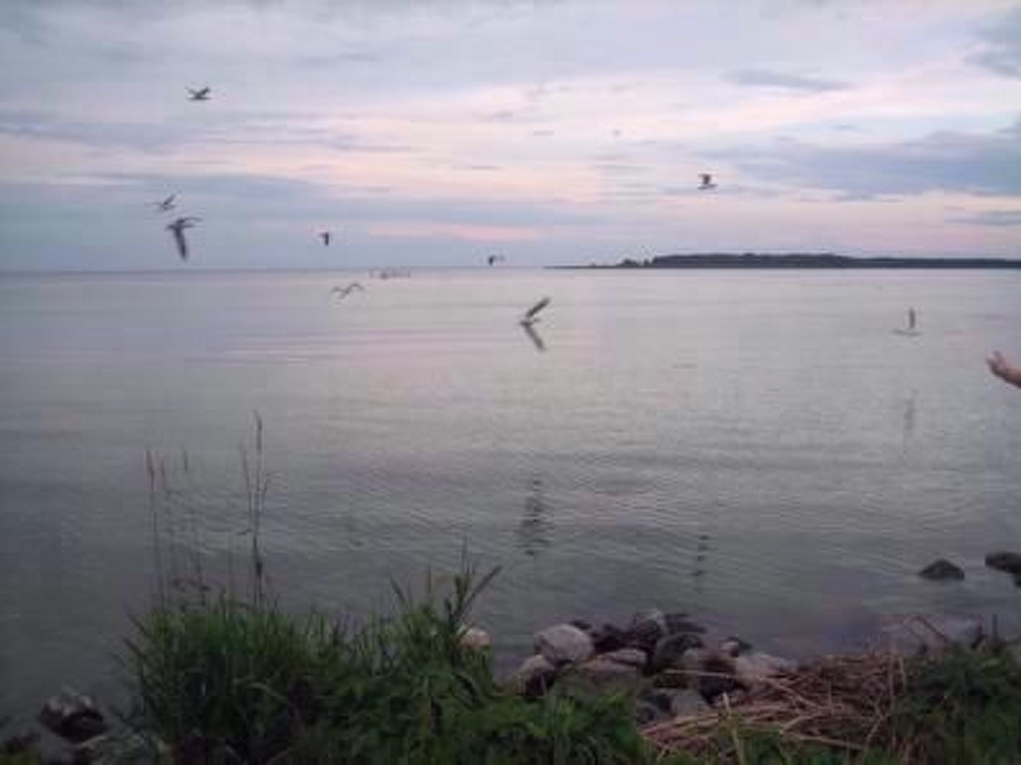 Haus sina-Image-tags.info