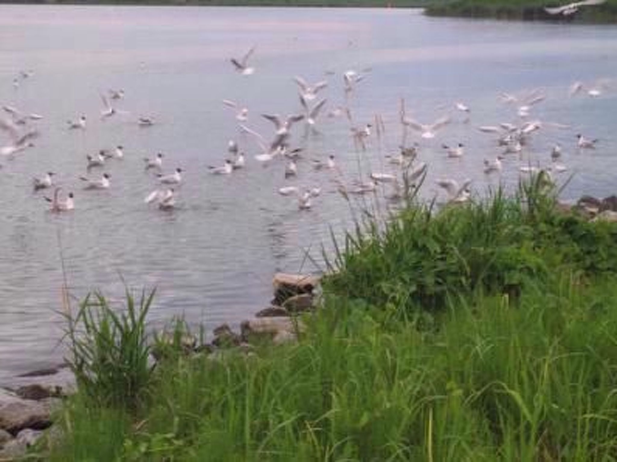 Haus sina-Image-tags.info