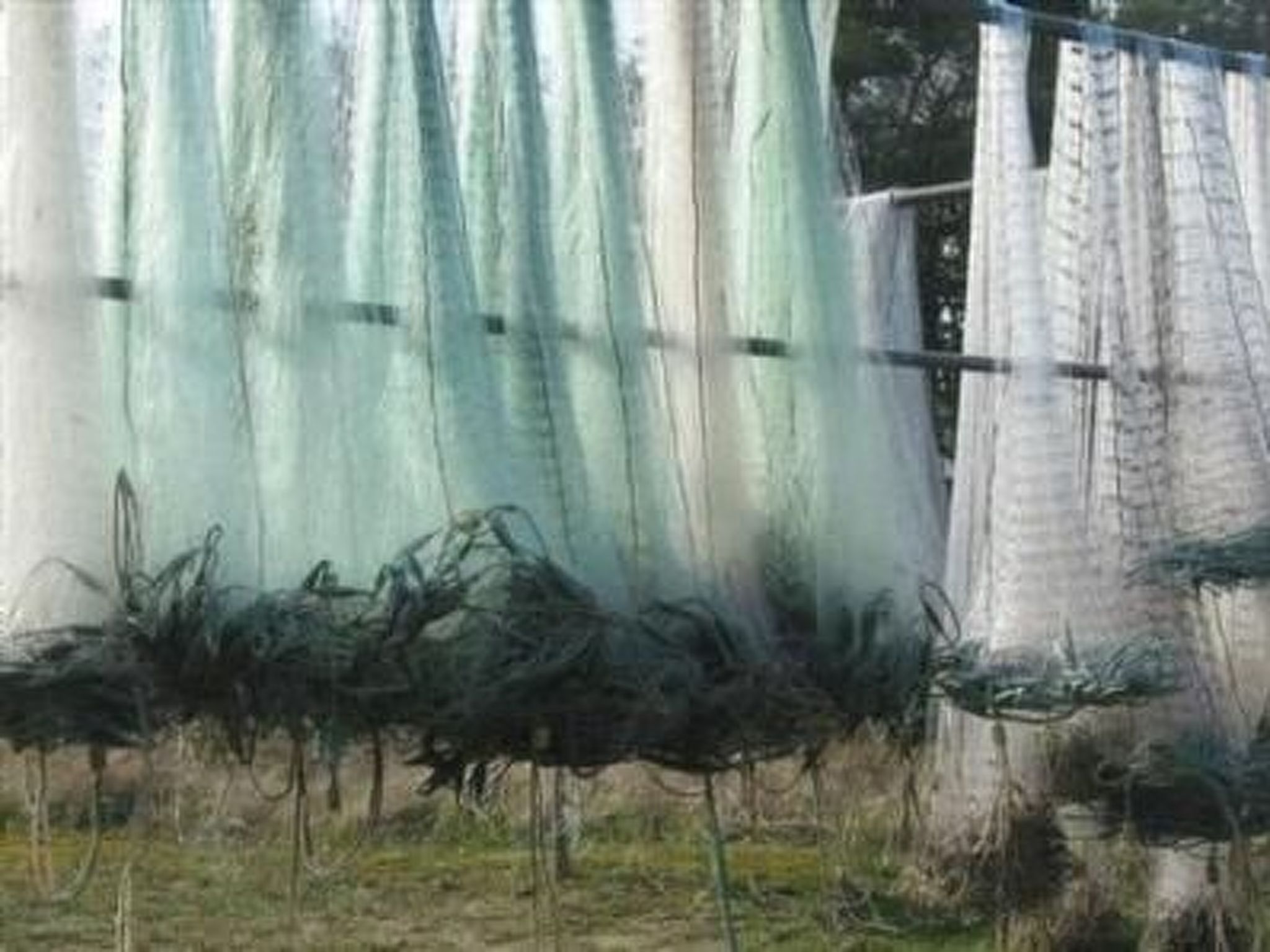 Haus sina-Image-tags.info