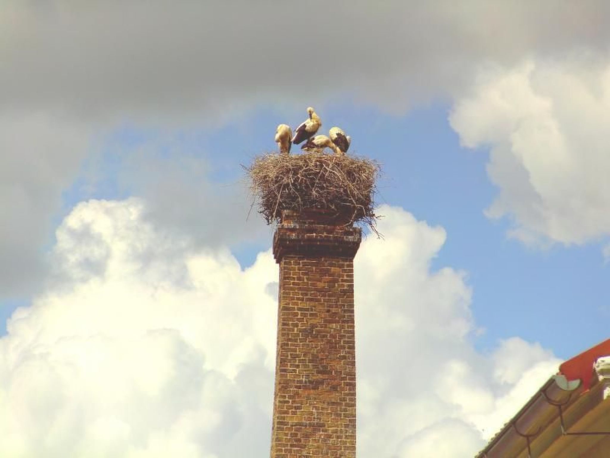 Appartement in Meiersberg mit Grill-Binnen