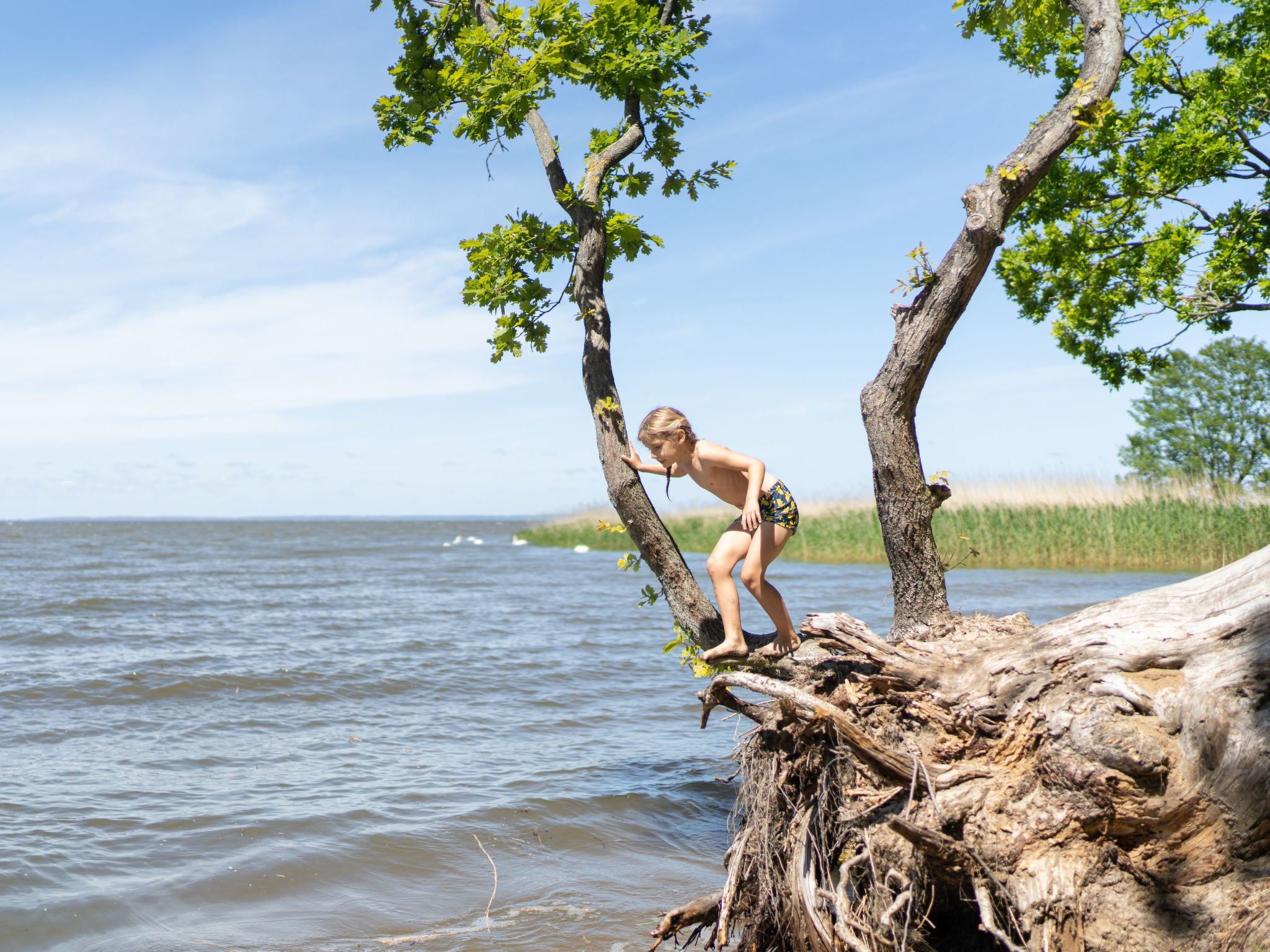 Hafenkönigin-Image-tags.info