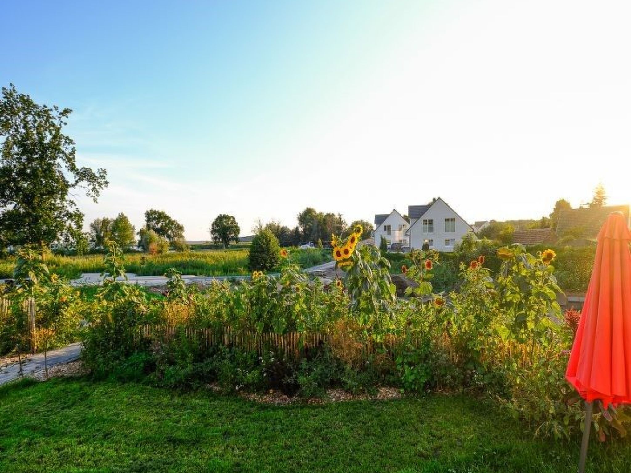 Hafenkönigin-Image-tags.info