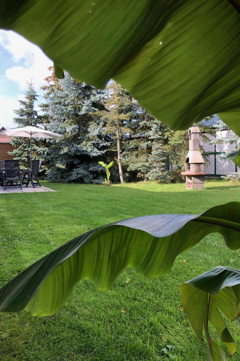 Mit Garten, Grill und Terrasse-Image-tags.info