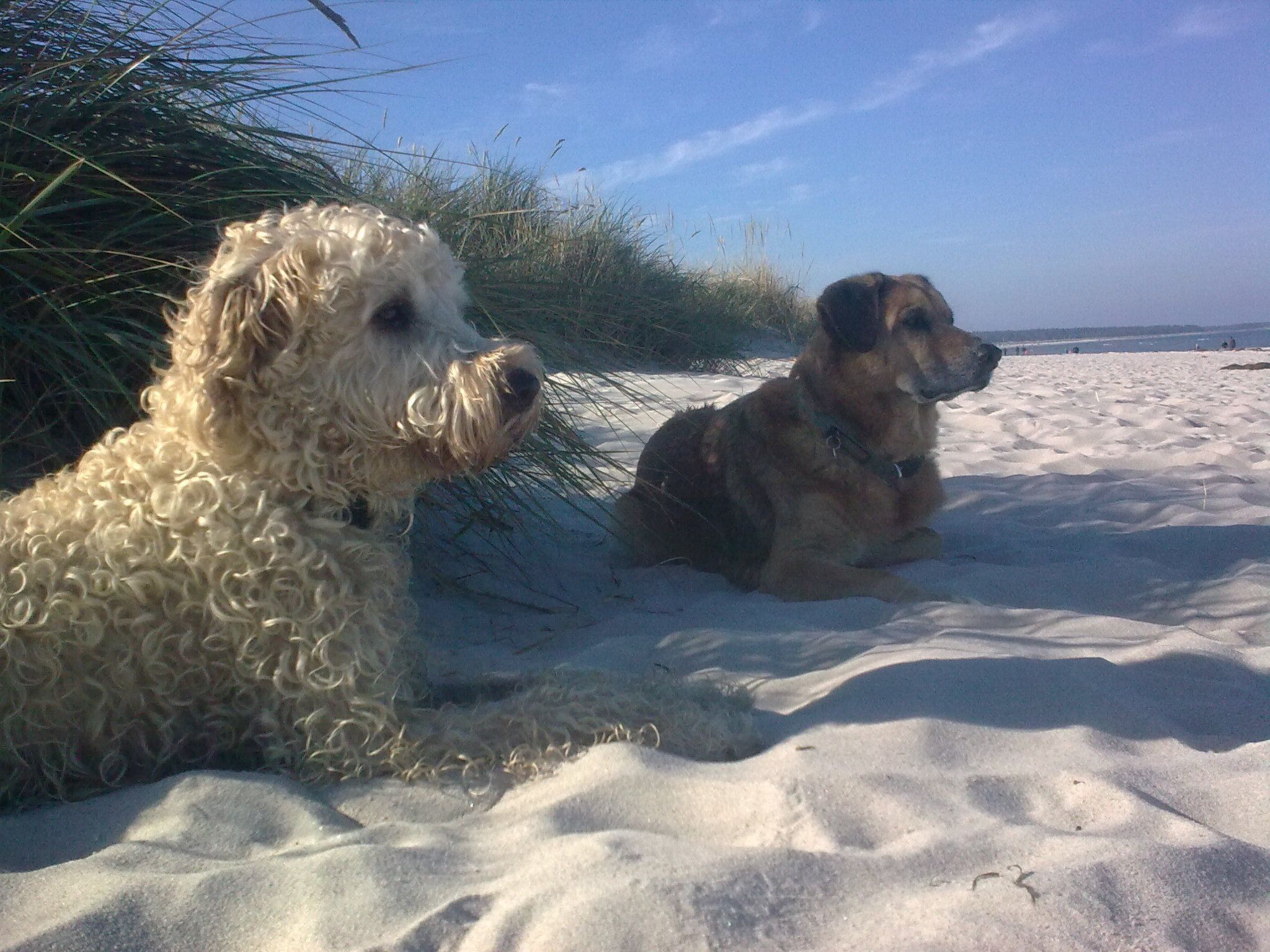 Apartment am Stettiner Haff-Image-tags.info