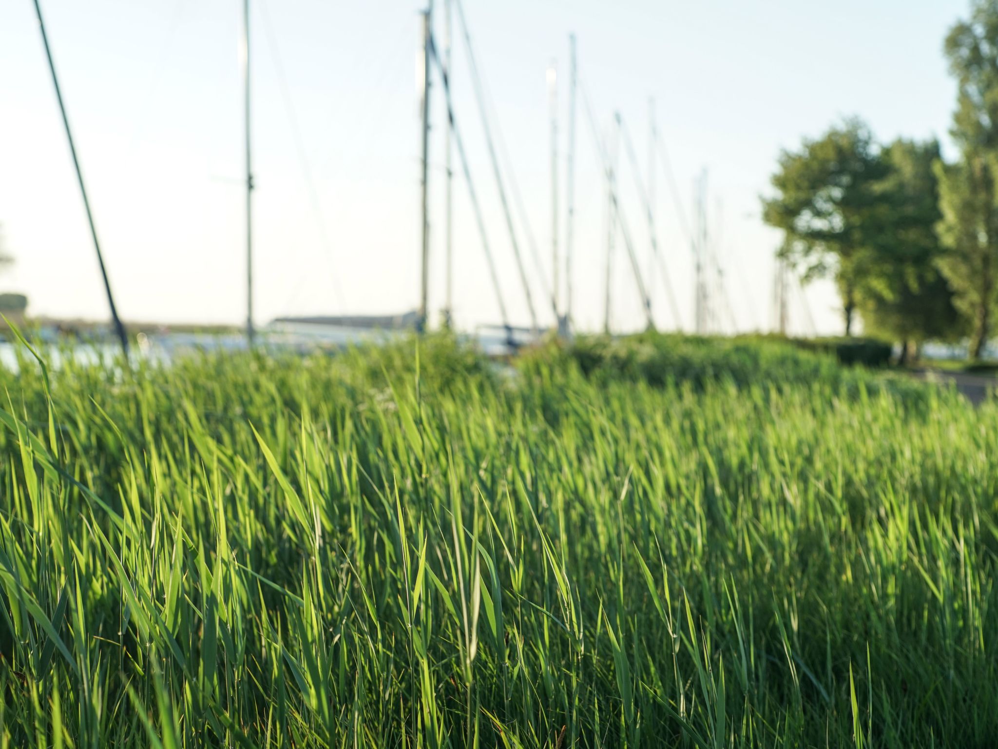 Mit Terrasse-Image-tags.info