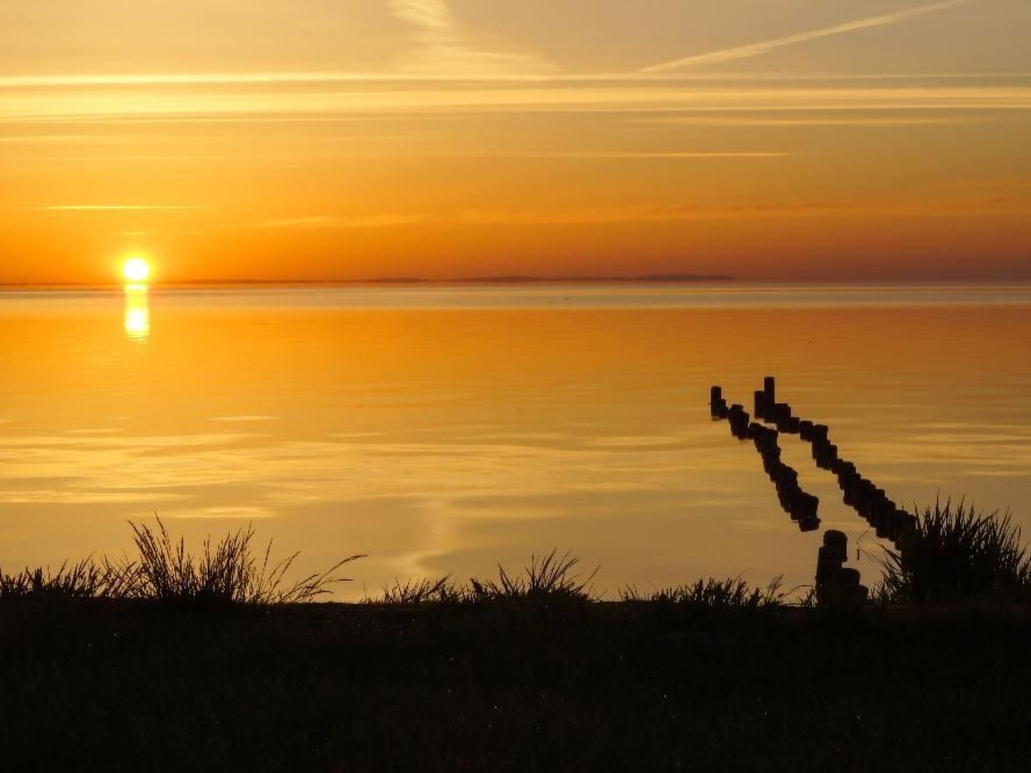 Wohnung in Mönkebude mit Terrasse und Grill-Image-tags.info