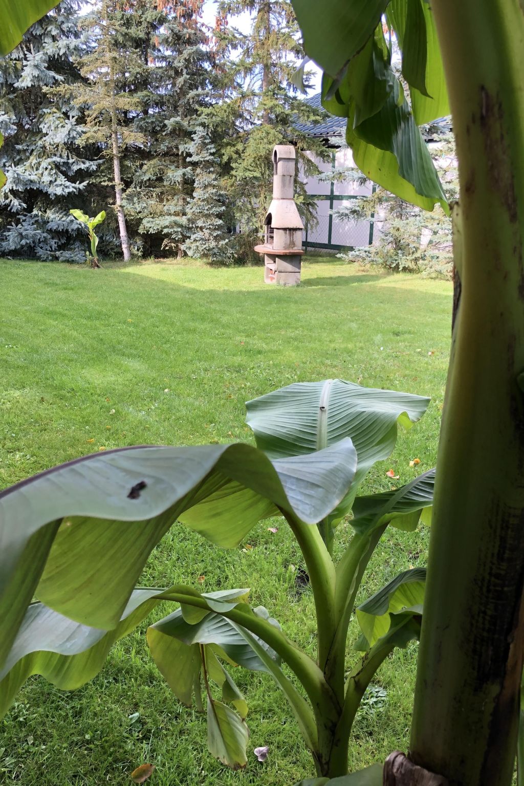 Mit Garten, Grill und Terrasse-Image-tags.info