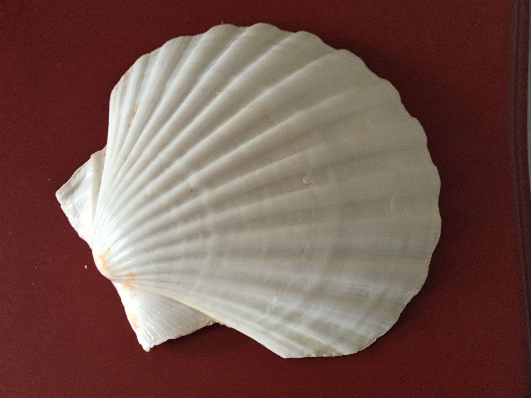 Fischerhus LüttHauke-Binnen