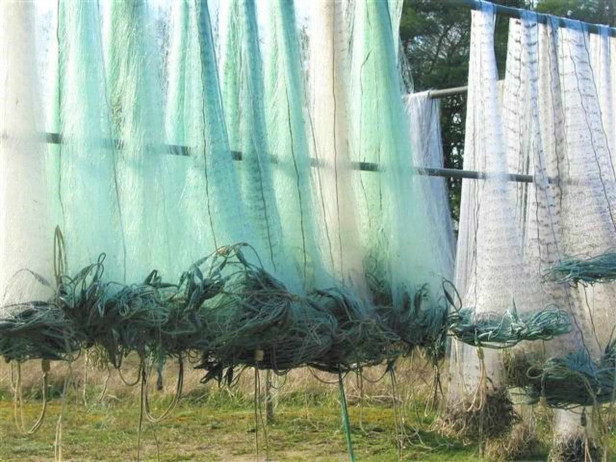 FH Godewind***** 60-Binnen