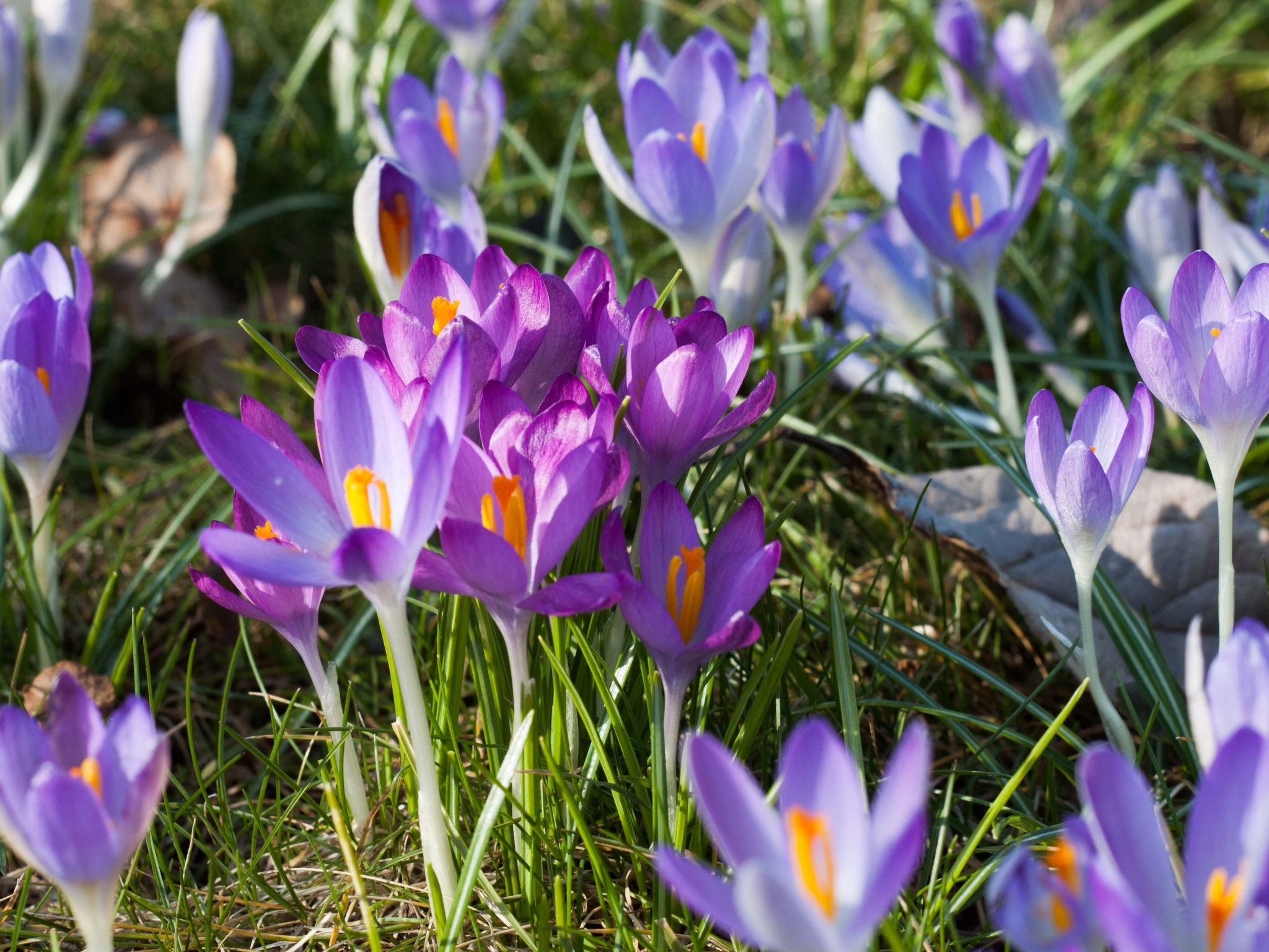 Am Apothekerberg-Binnen
