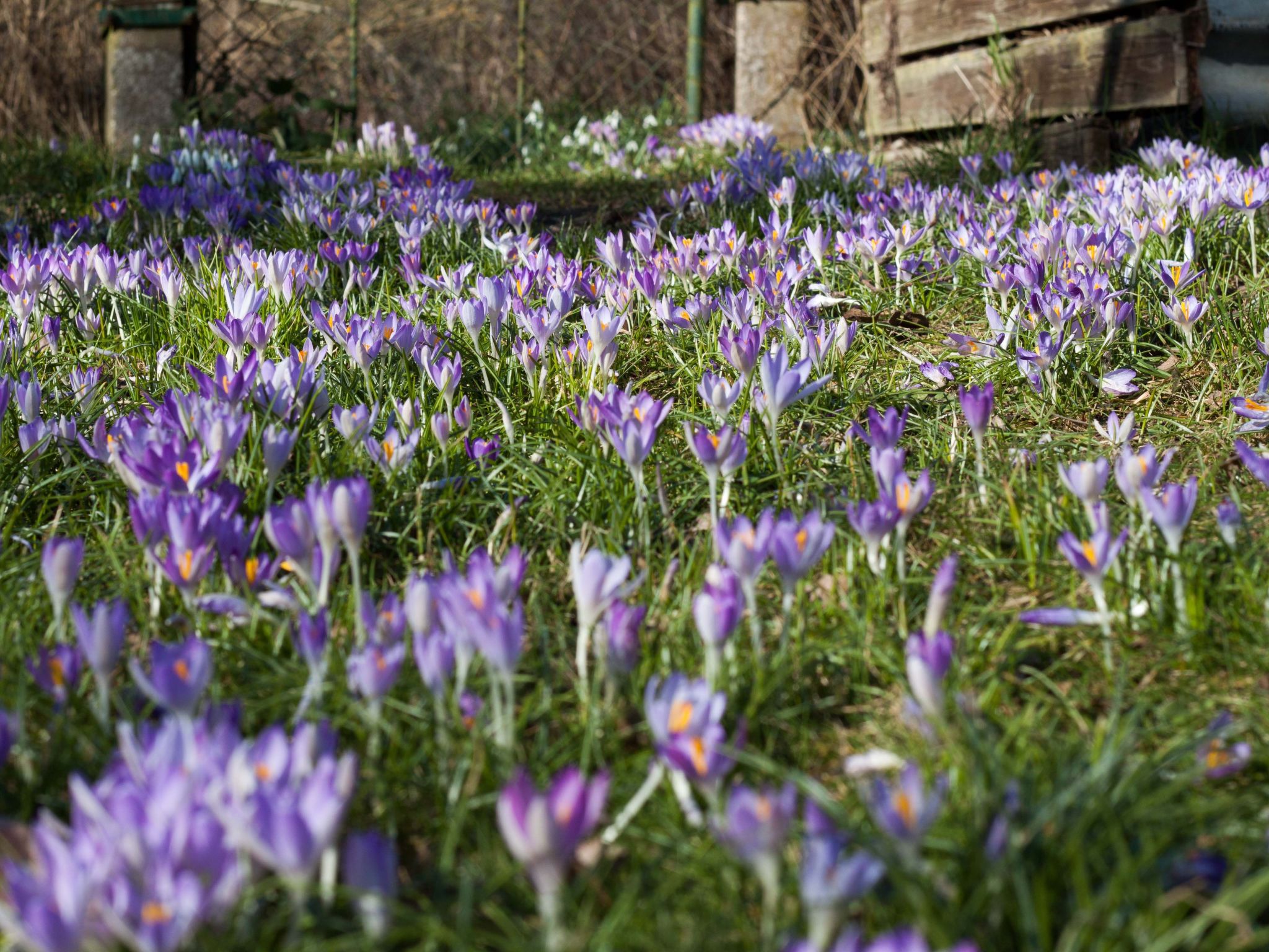 Am Apothekerberg-Binnen