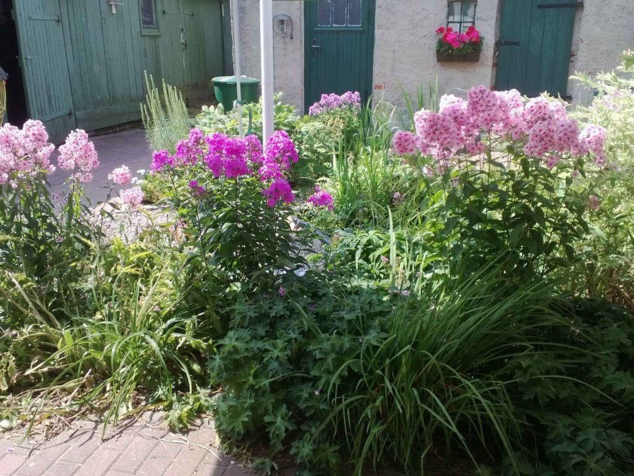 Am Apothekerberg-Binnen