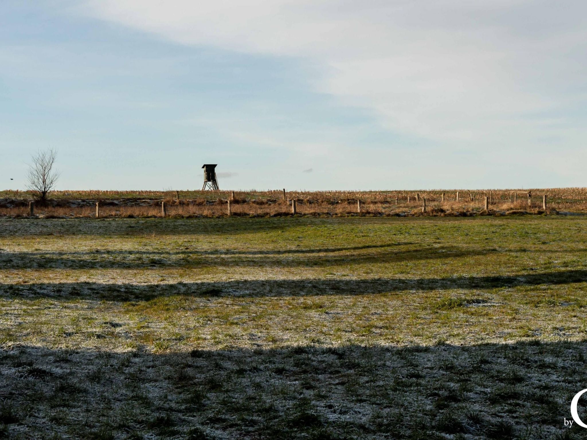 Am Apothekerberg-Binnen