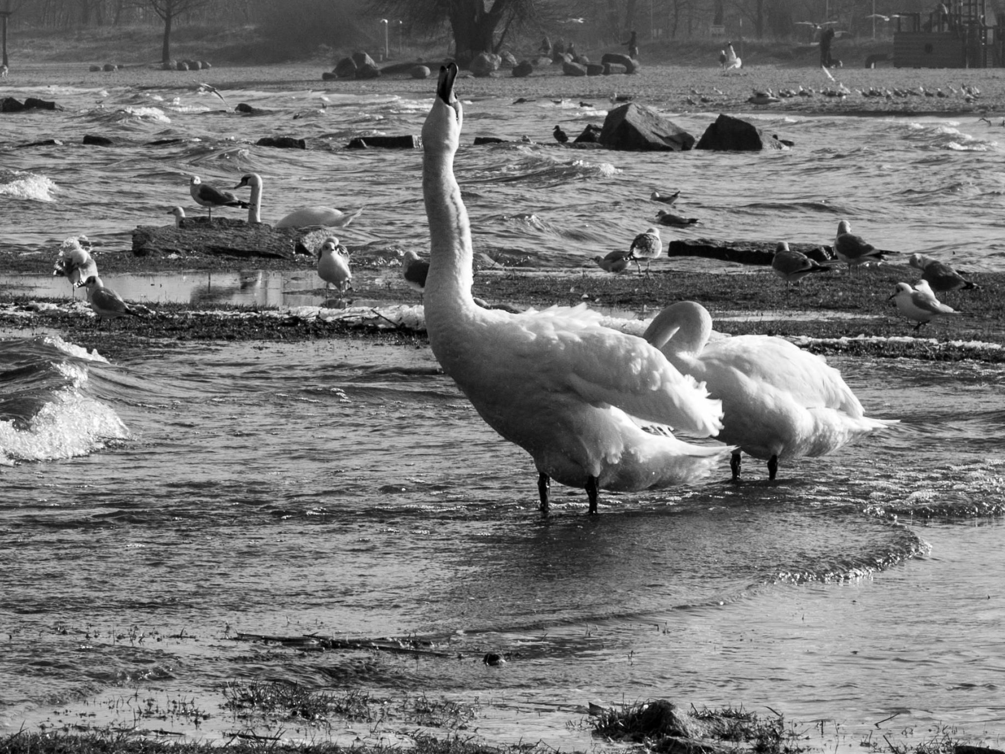 Am Apothekerberg-Binnen