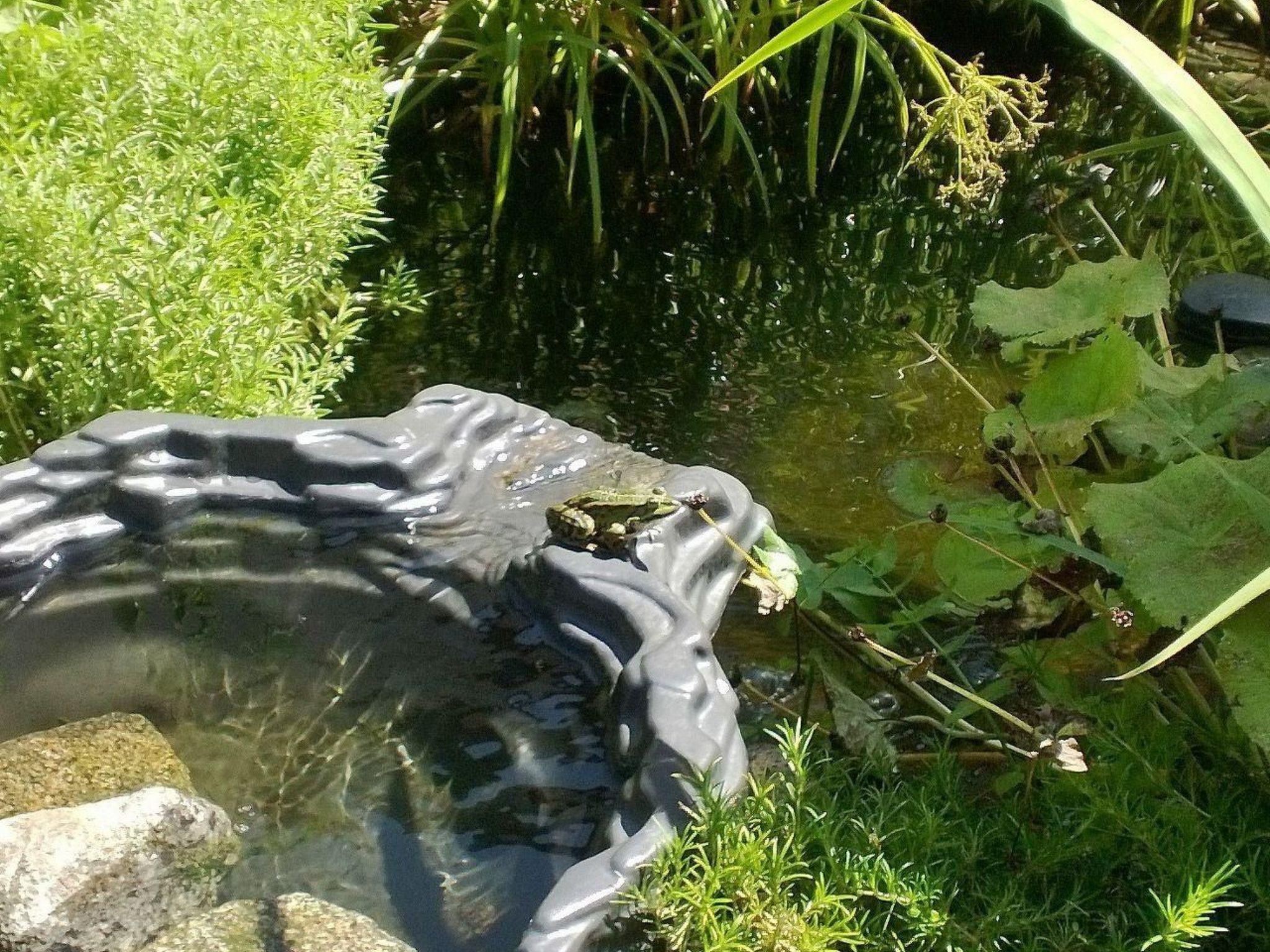 Am Apothekerberg-Binnen