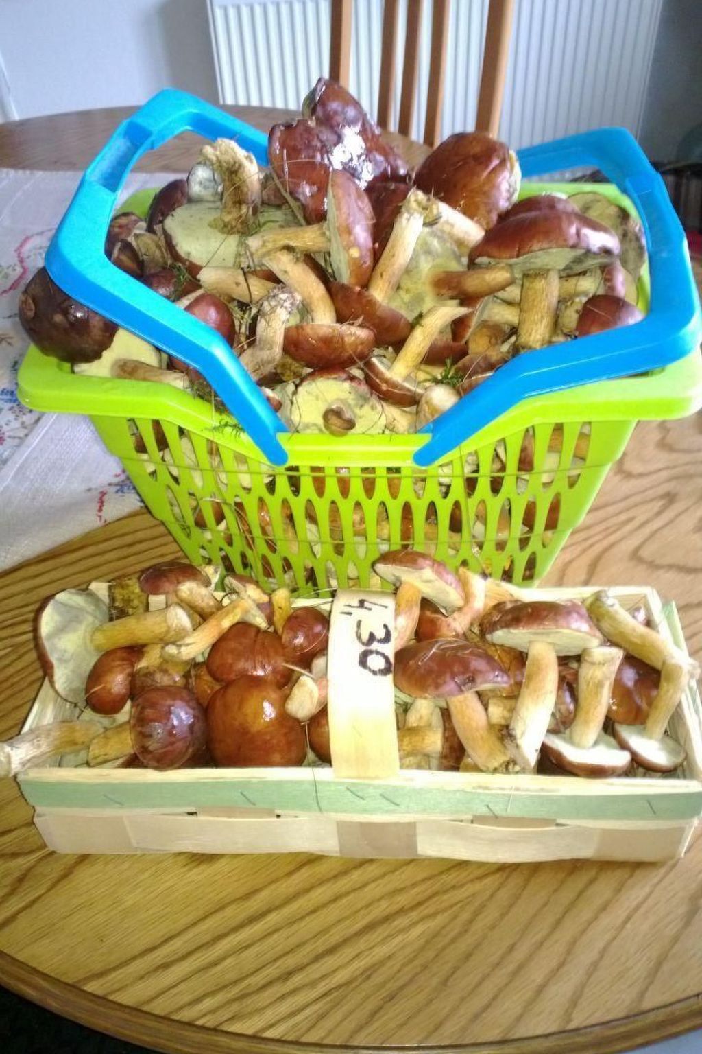 Am Apothekerberg-Binnen