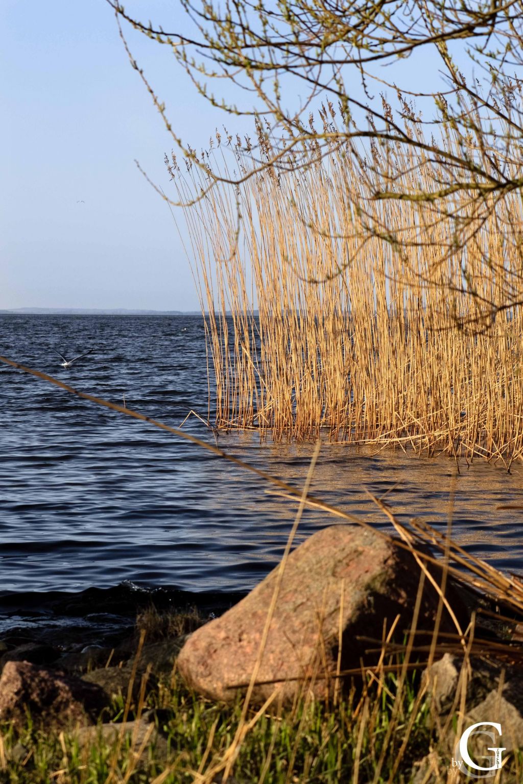 Am Apothekerberg-Binnen