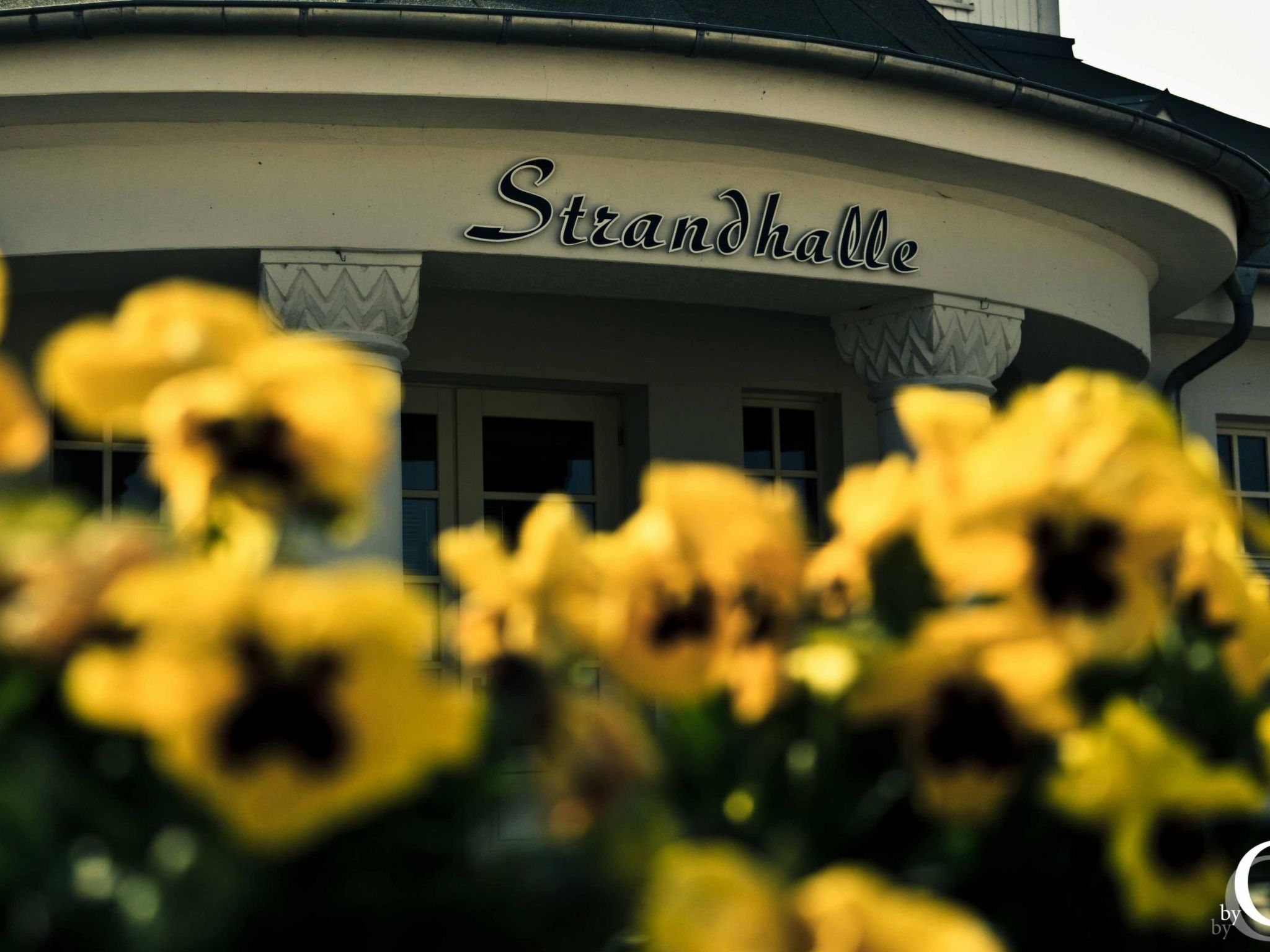 Am Apothekerberg-Binnen