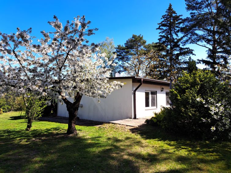 Vrijstaand vakantiehuis met open haard in Altwarp in Altwarp