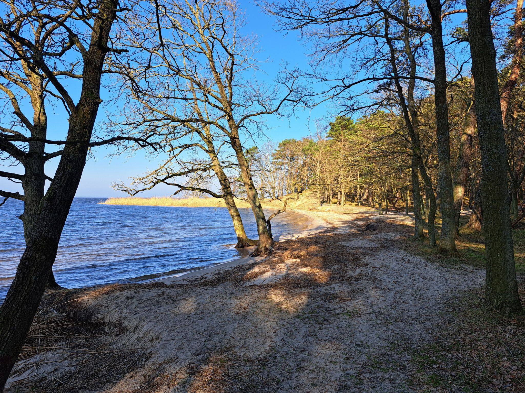 mit Terrasse mitten im Grünen