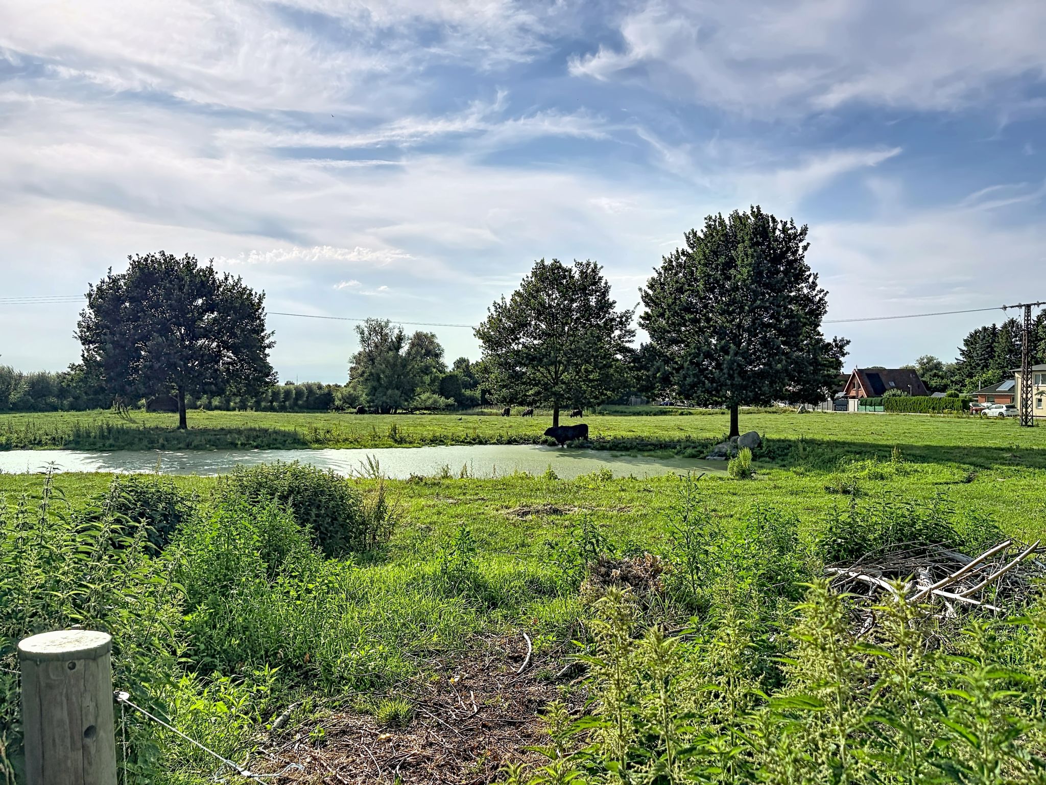 Chrischi - Buiten