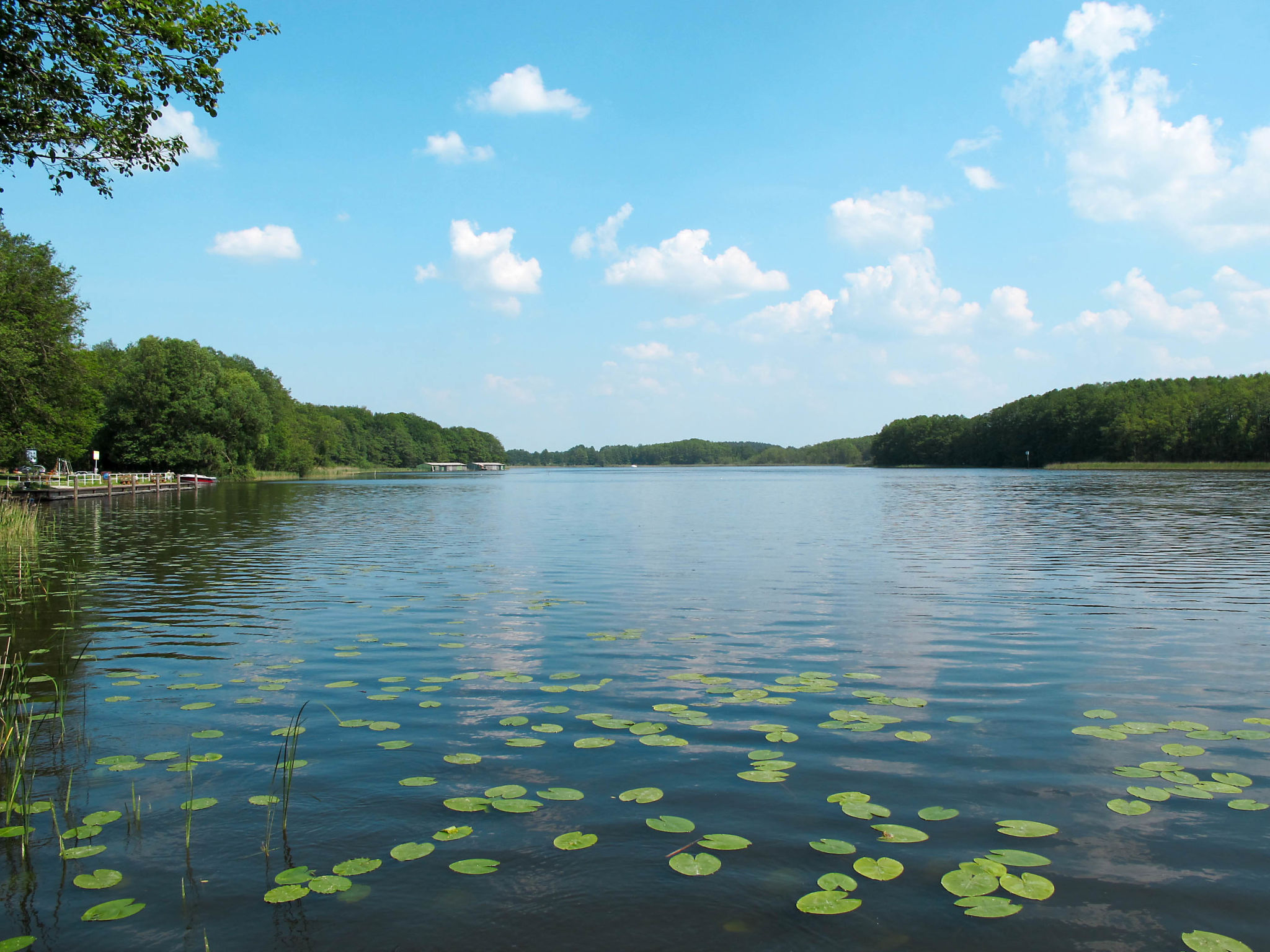 Landhaus Mueritzsee-Omgeving