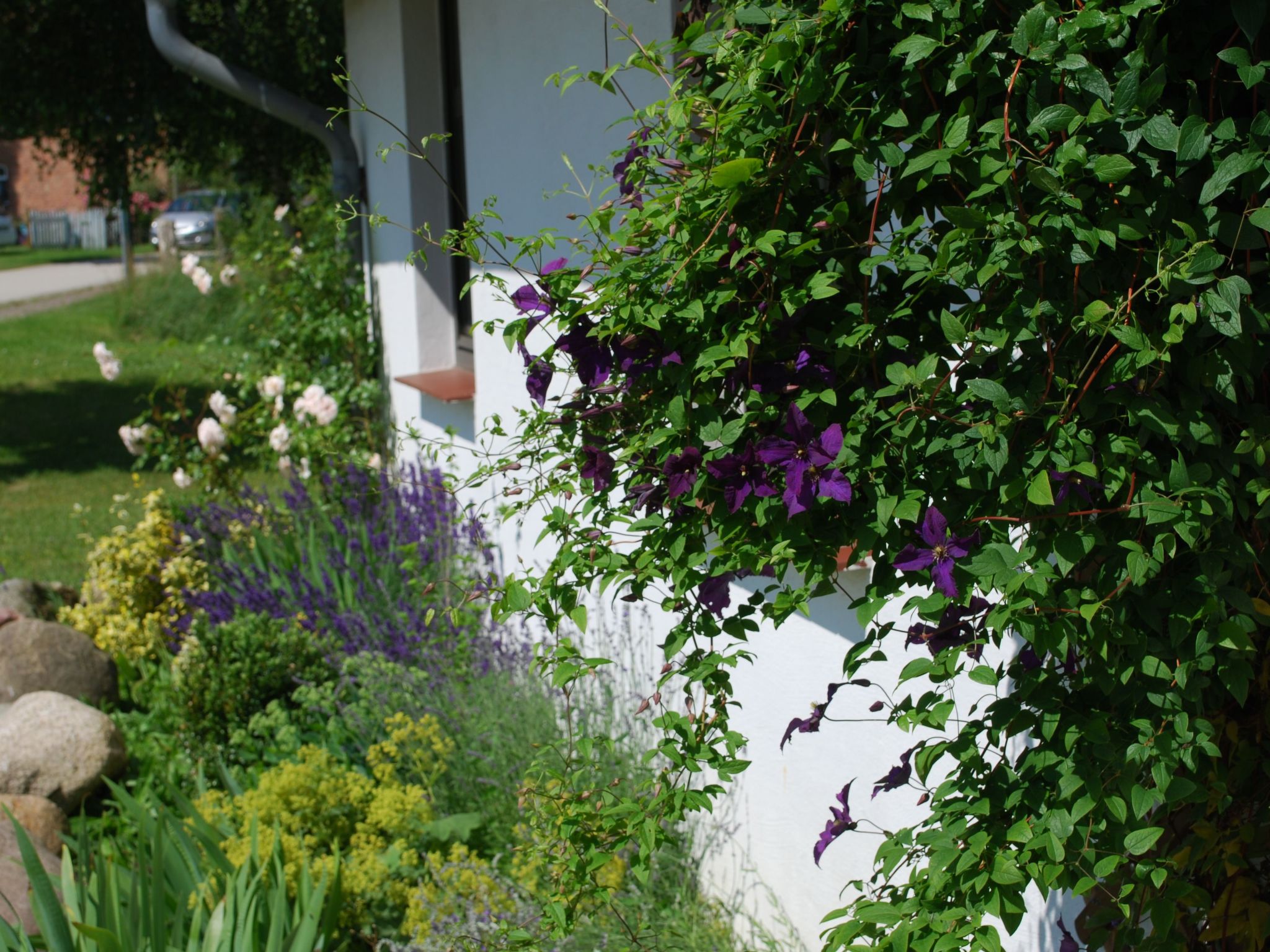 Rügen-Image-tags.info