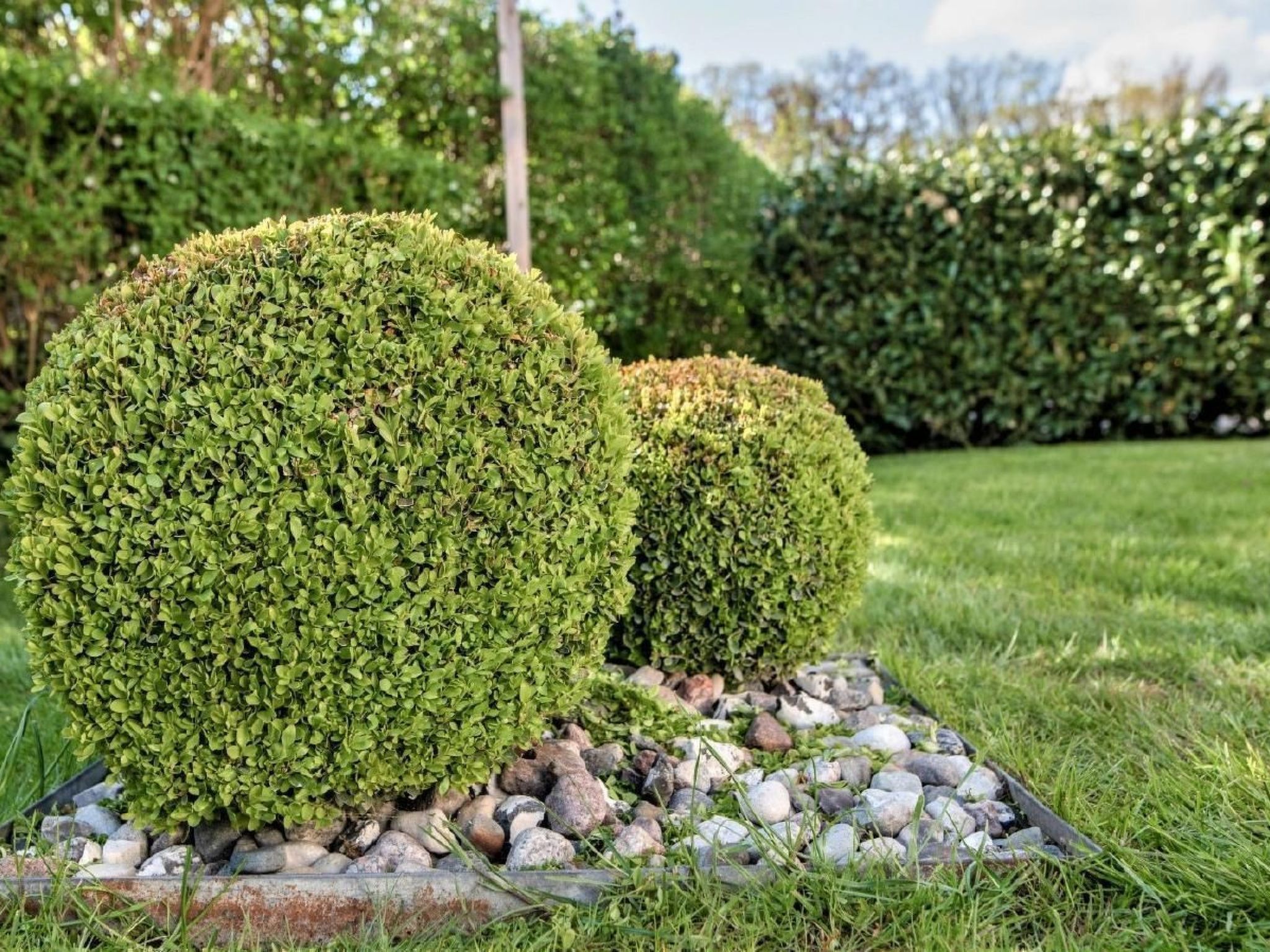 Claire in Dargun-Binnen