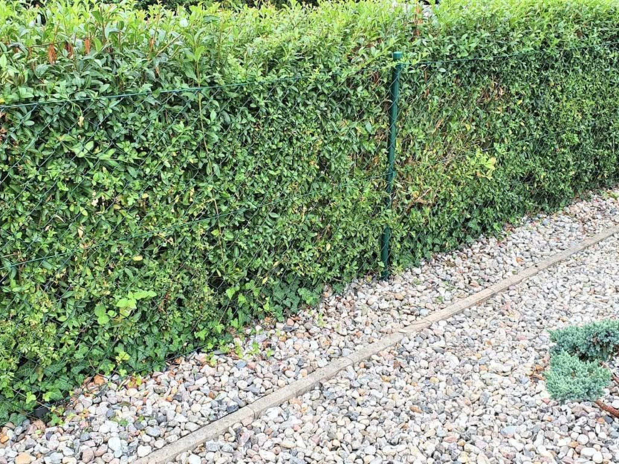 Claire in Dargun-Binnen