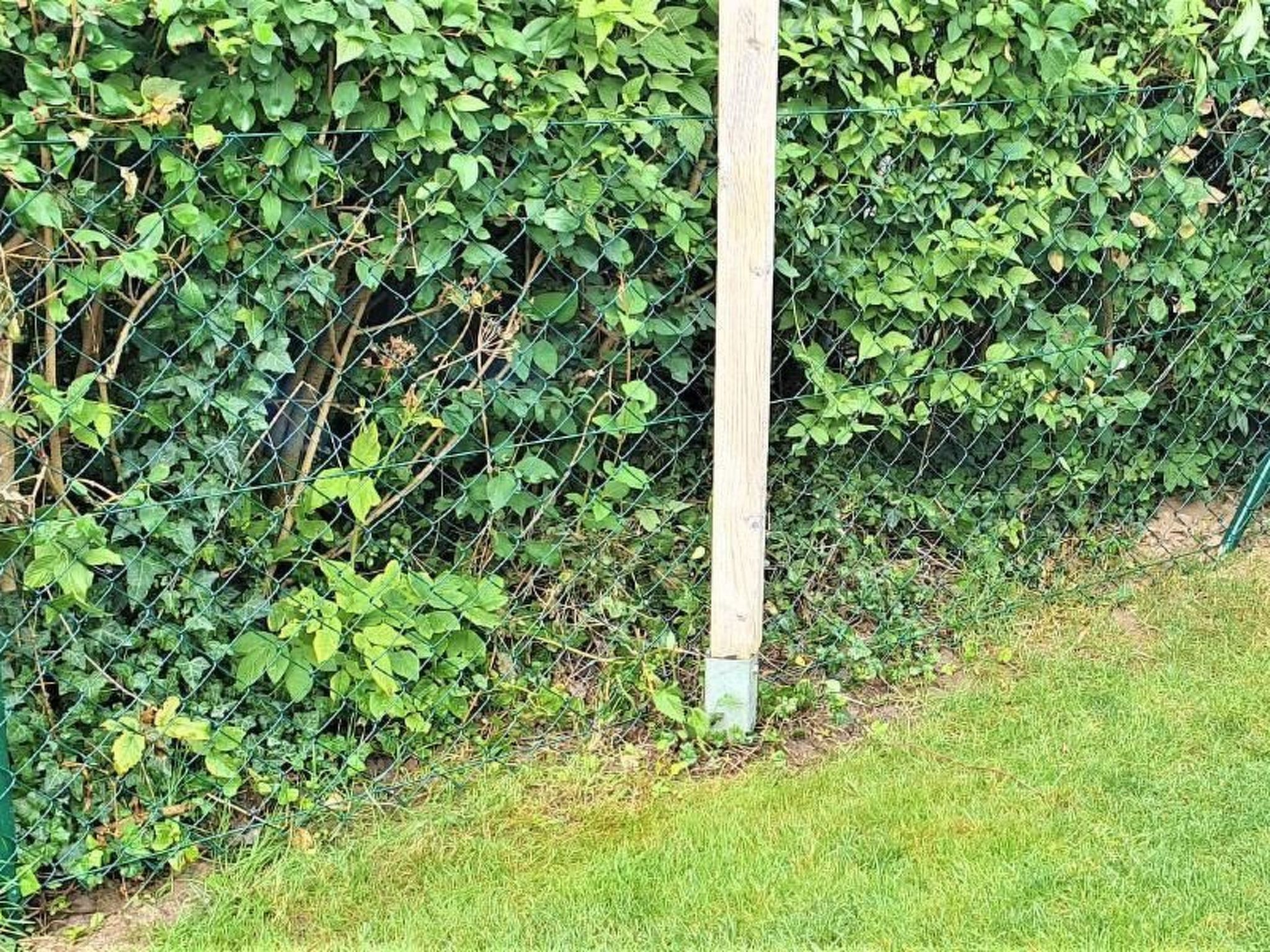 Claire in Dargun-Binnen