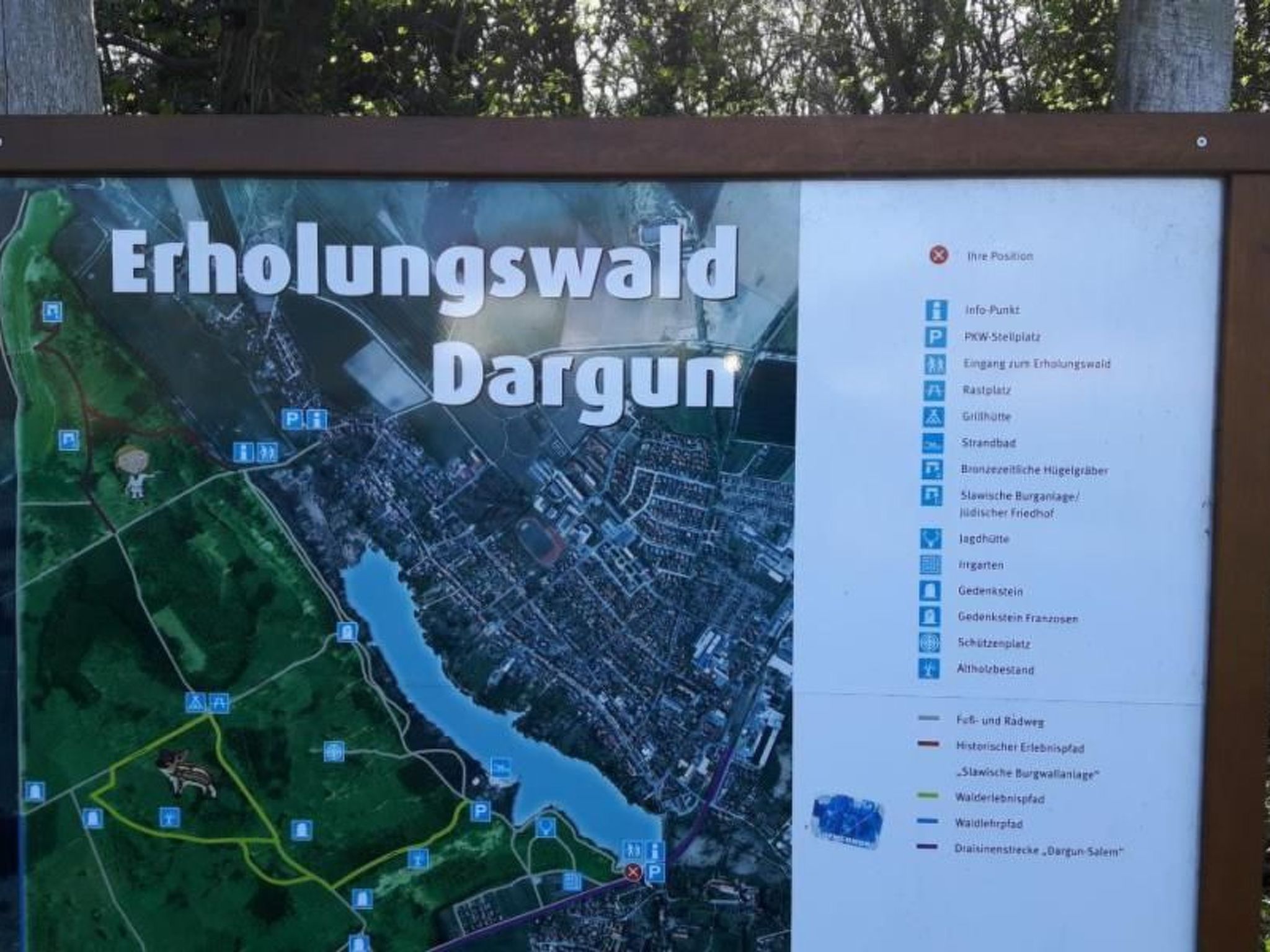 Claire in Dargun-Binnen