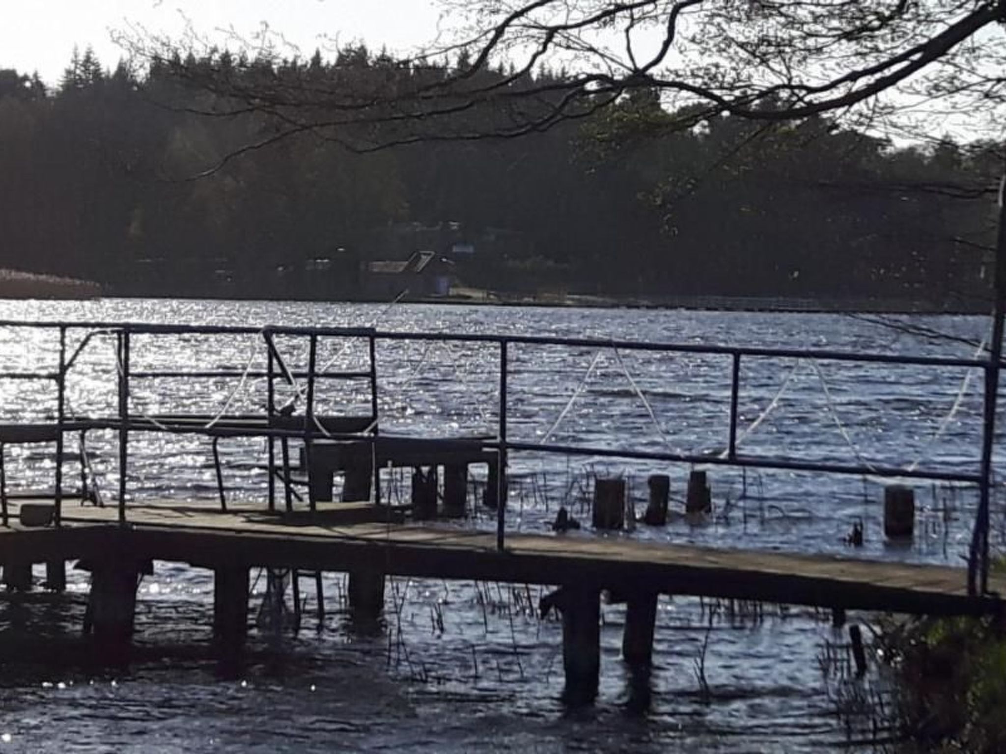 Claire in Dargun-Binnen