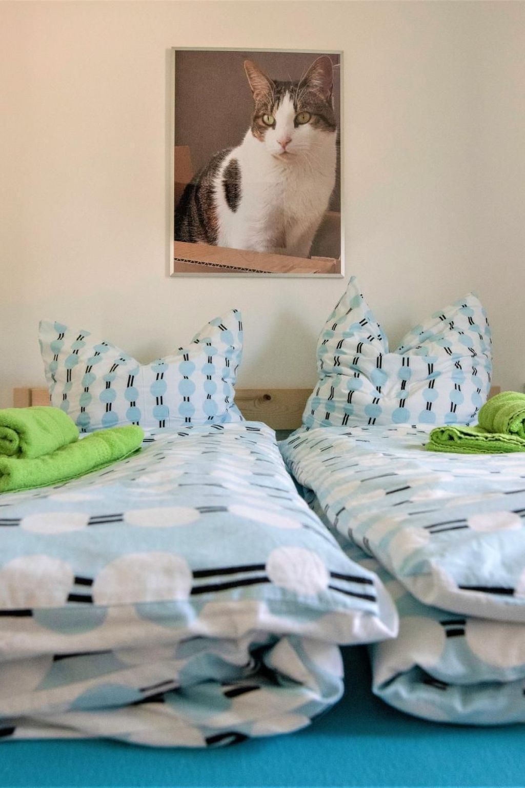 Paula am Klostersee Urlaub mit Hund-Image-tags.info