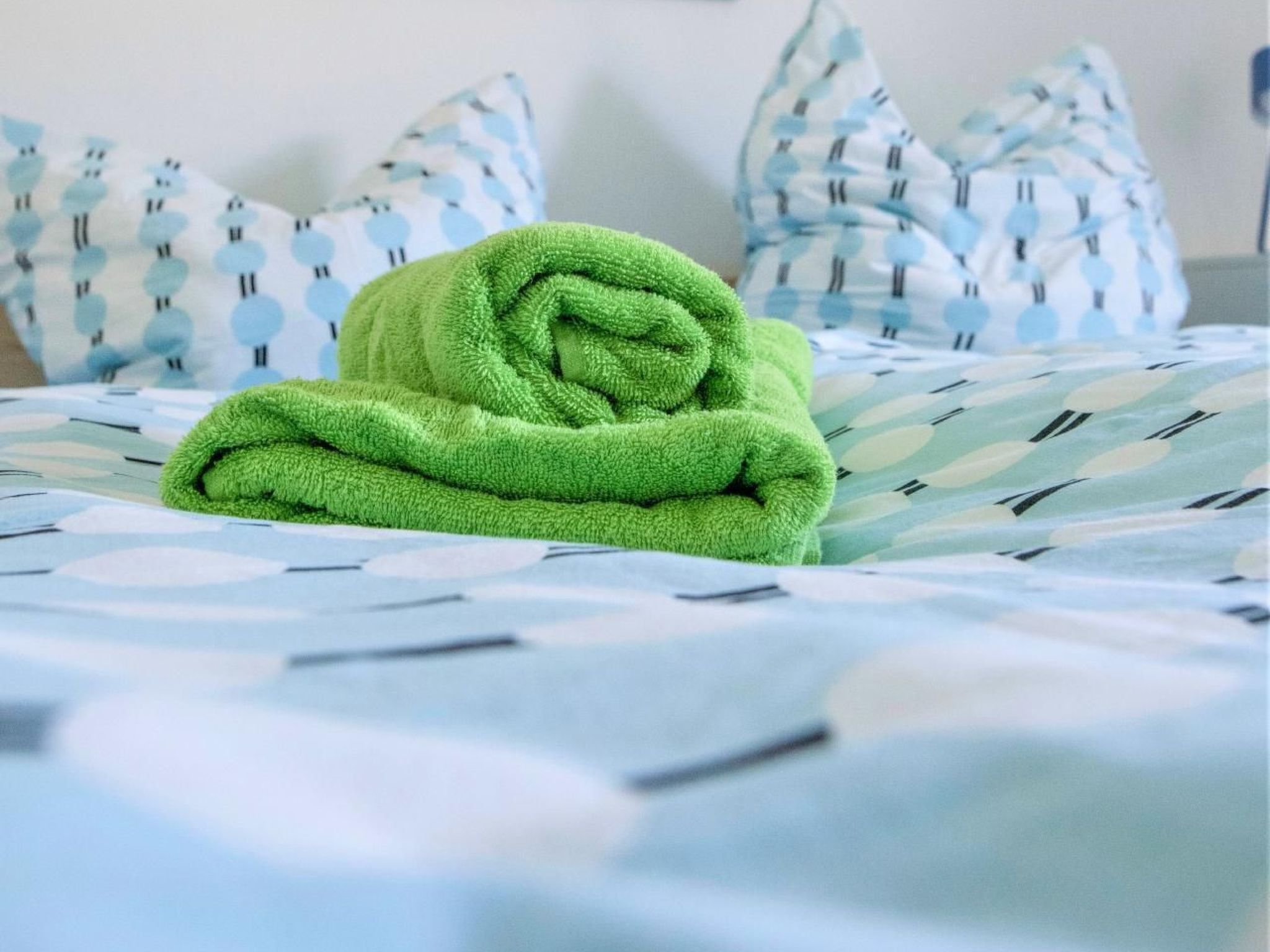 Paula am Klostersee Urlaub mit Hund-Image-tags.info