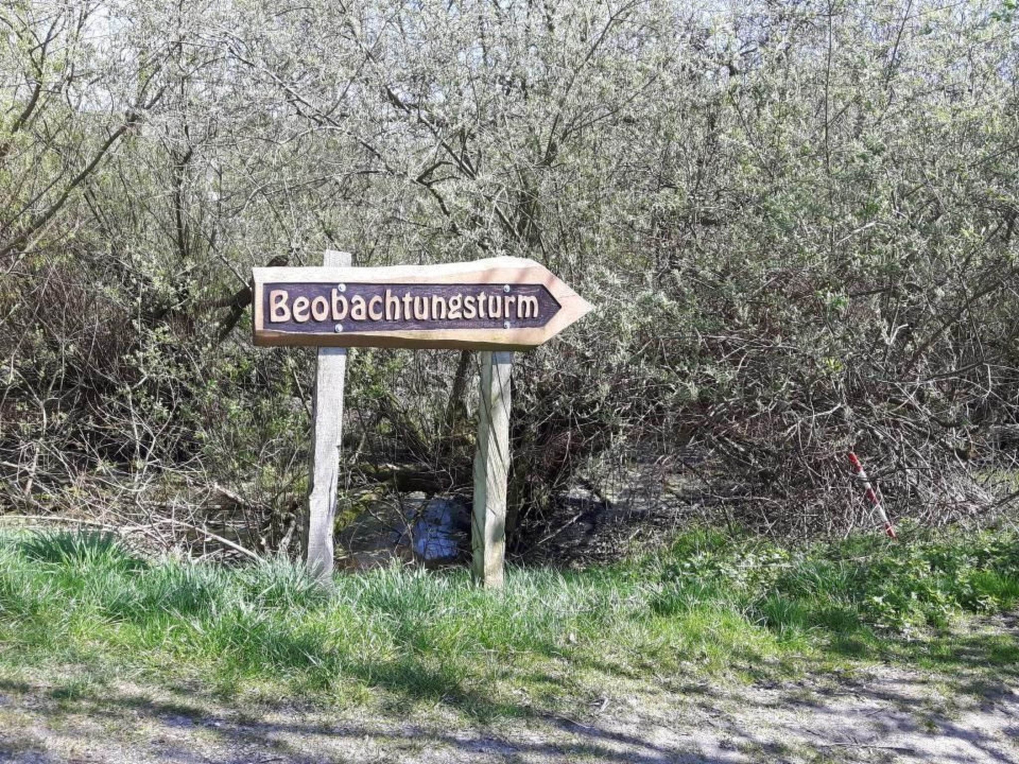 Paula am Klostersee Urlaub mit Hund-Image-tags.info